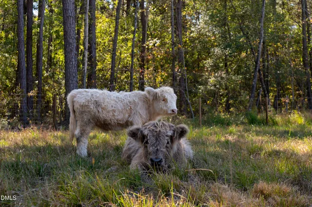 $2,000,000 | 1280 Dickinson Road, Smithfield, NC 27577