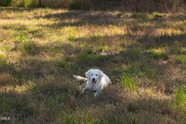 $2,000,000 | 1280 Dickinson Road, Smithfield, NC 27577