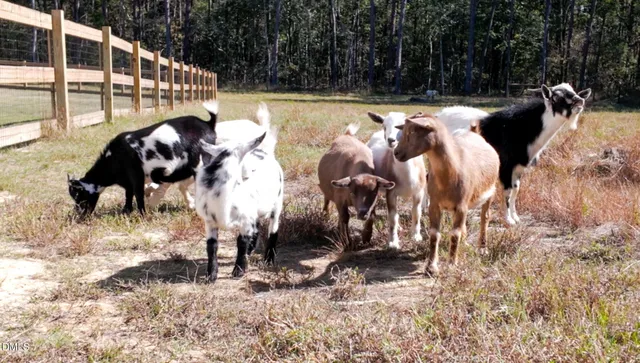 $2,000,000 | 1280 Dickinson Road, Smithfield, NC 27577