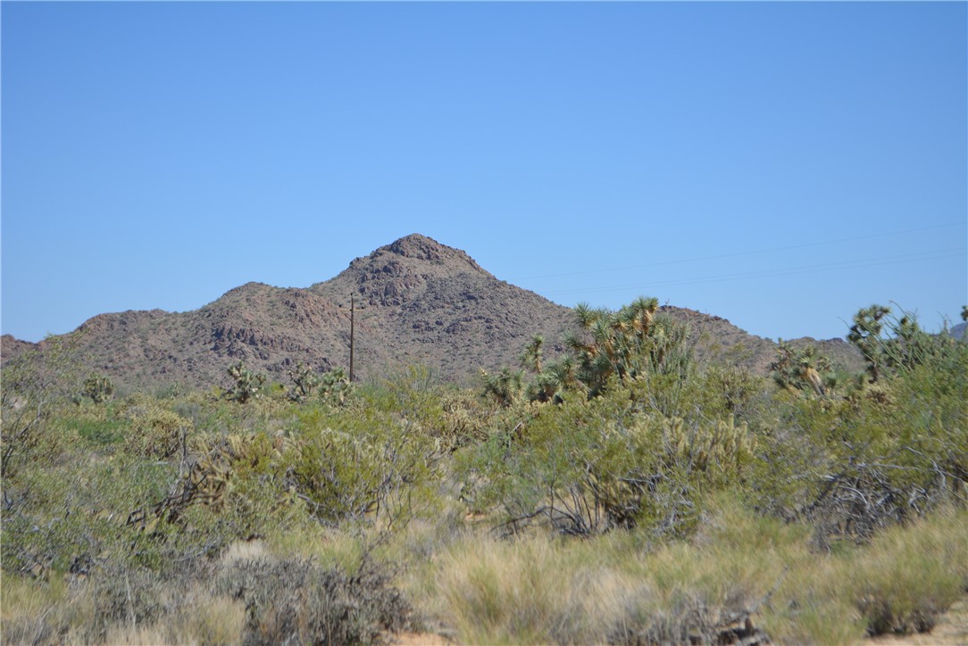 11189 Alvis Road Yucca, AZ 86438 - Photo 19 of 53 View