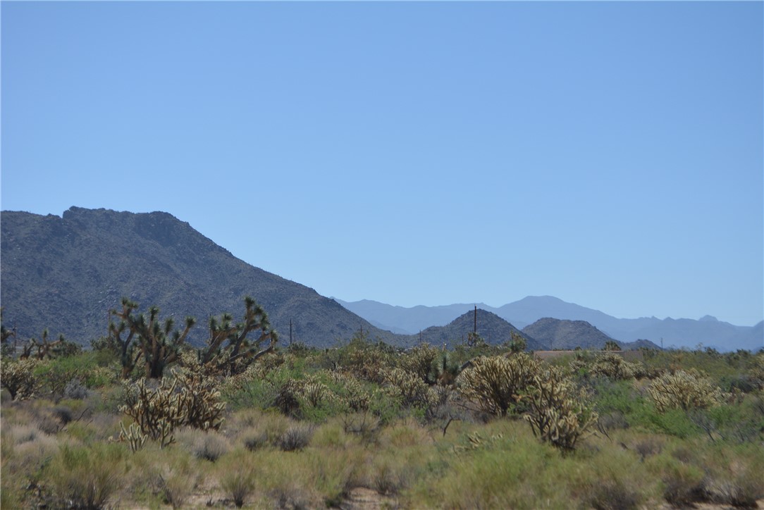 11189 Alvis Road Yucca, AZ 86438 - Photo 27 of 53 View