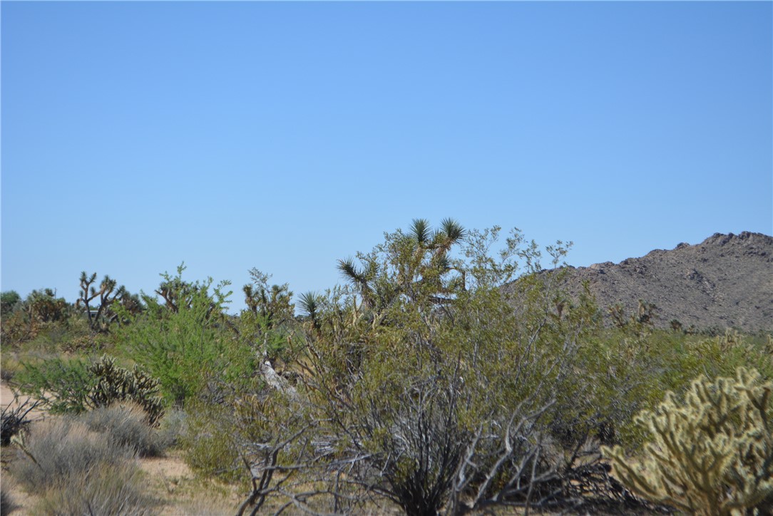11189 Alvis Road Yucca, AZ 86438 - Photo 30 of 53 View
