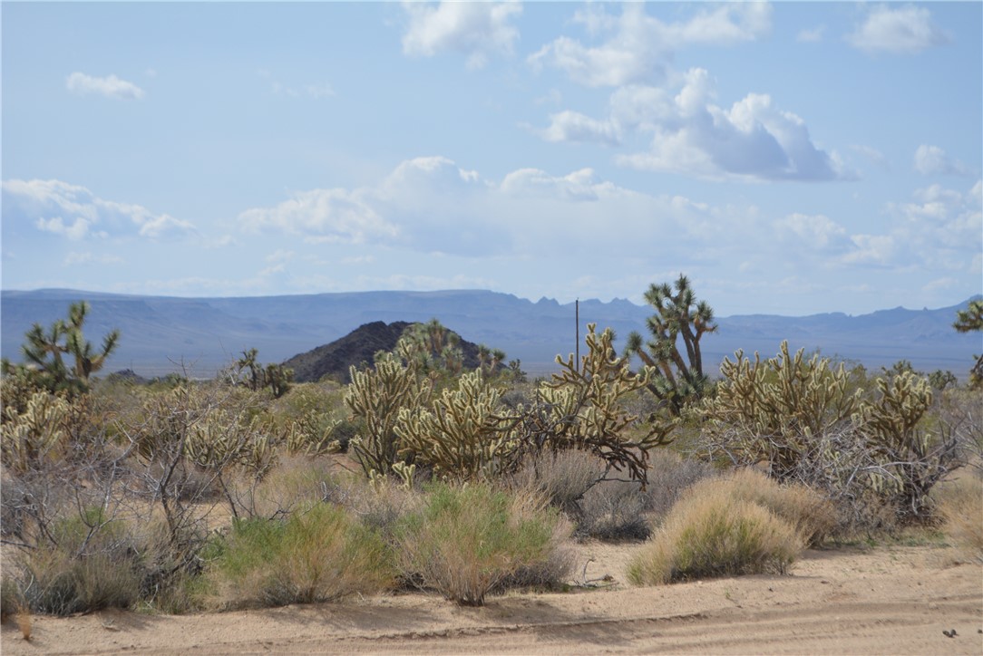 11189 Alvis Road Yucca, AZ 86438 - Photo 3 of 53 View