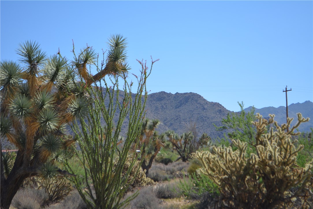 11189 Alvis Road Yucca, AZ 86438 - Photo 38 of 53 View