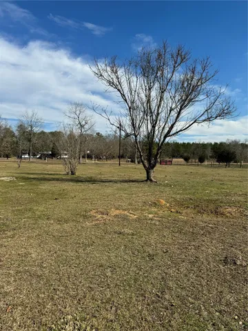 a view of a field with an trees