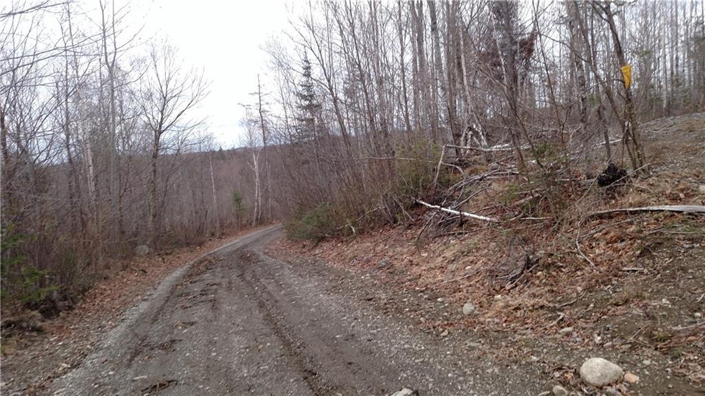 Off Off Old Springfield Road Springfield, ME 04487 - Photo 5 of 5 Photo