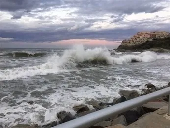 front view of a building with potted plants