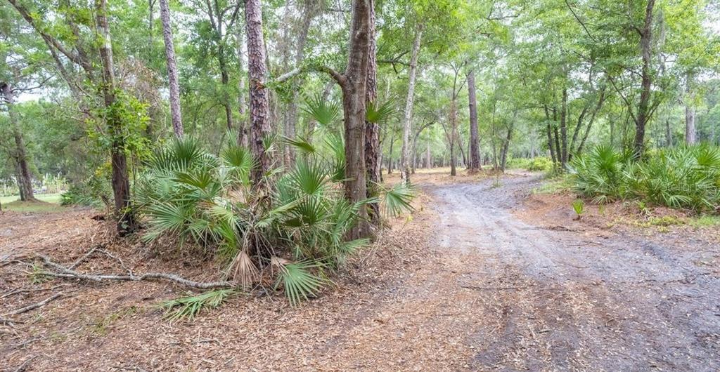 7149 Fitzpatrick Lane Jacksonville, FL 32226 - Photo 47 of 69