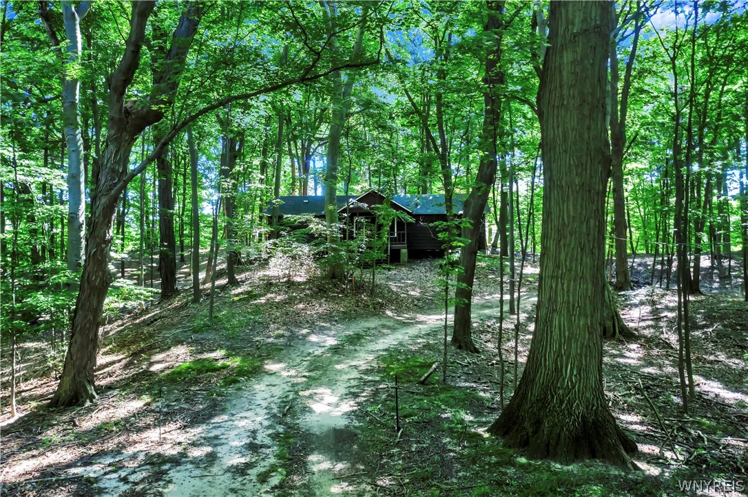 8462 Lake Shore Road Evans, NY 14006 - Photo 31 of 34