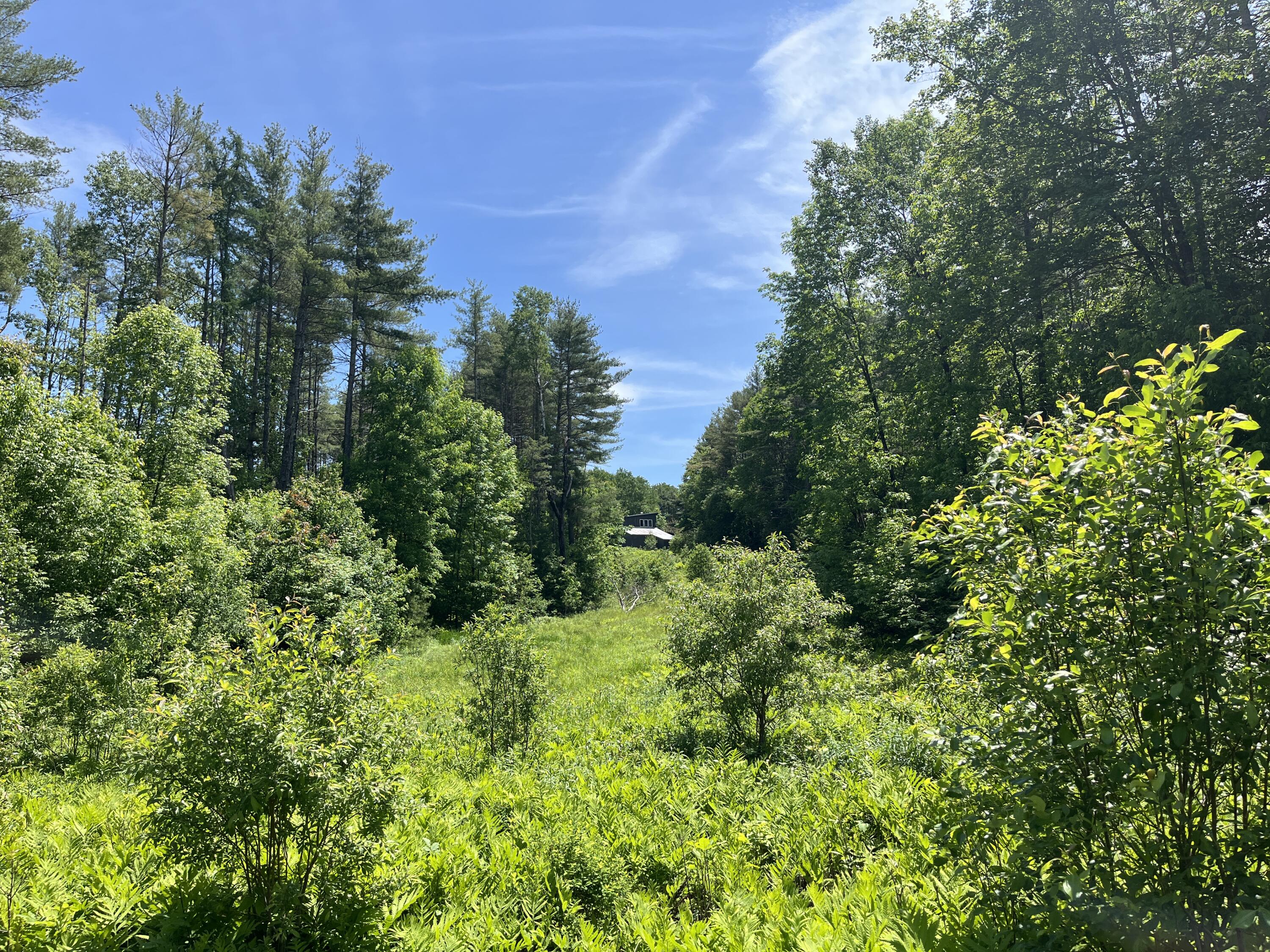 51 Sandy River Road Mercer, ME 04957 - Photo 43 of 44 view-of-the-house-from-river_53874957432