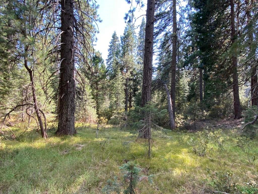 3-e-48 Red Fir Road McCloud, CA 96057 - Photo 10 of 15 Gallery Image 10
