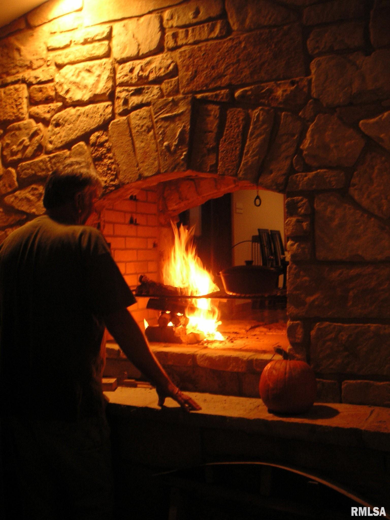 1640 Milligan Hill Road Alto Pass, IL 62905 - Photo 20 of 98