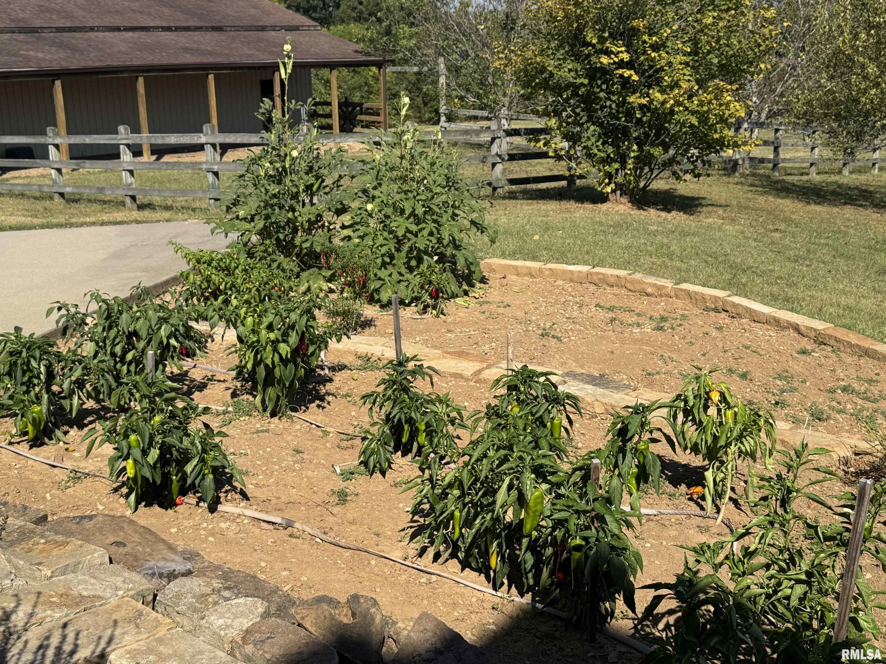 1640 Milligan Hill Road Alto Pass, IL 62905 - Photo 6 of 98