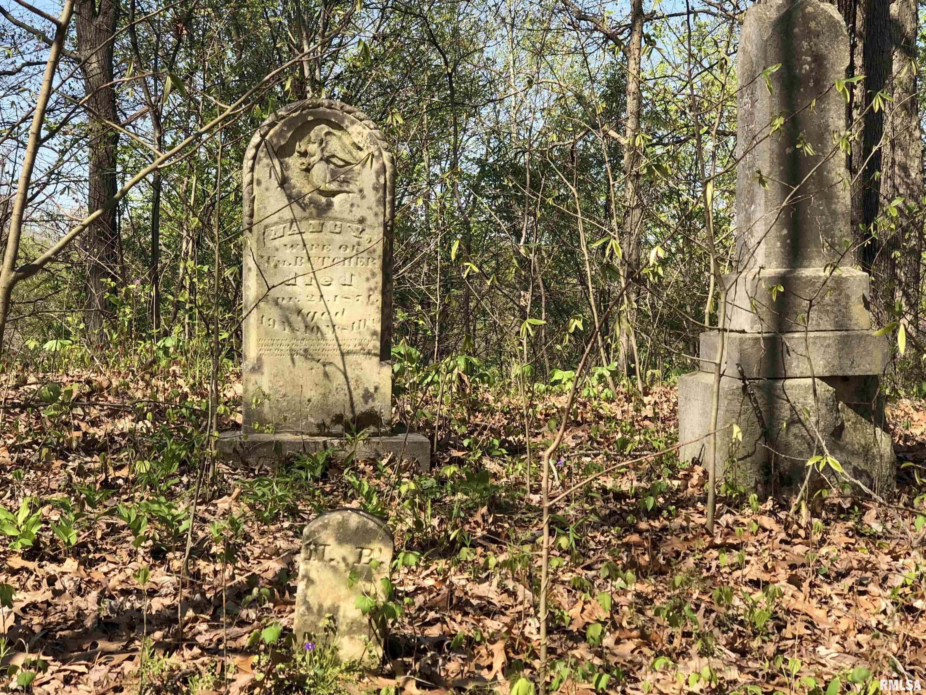 1640 Milligan Hill Road Alto Pass, IL 62905 - Photo 96 of 98