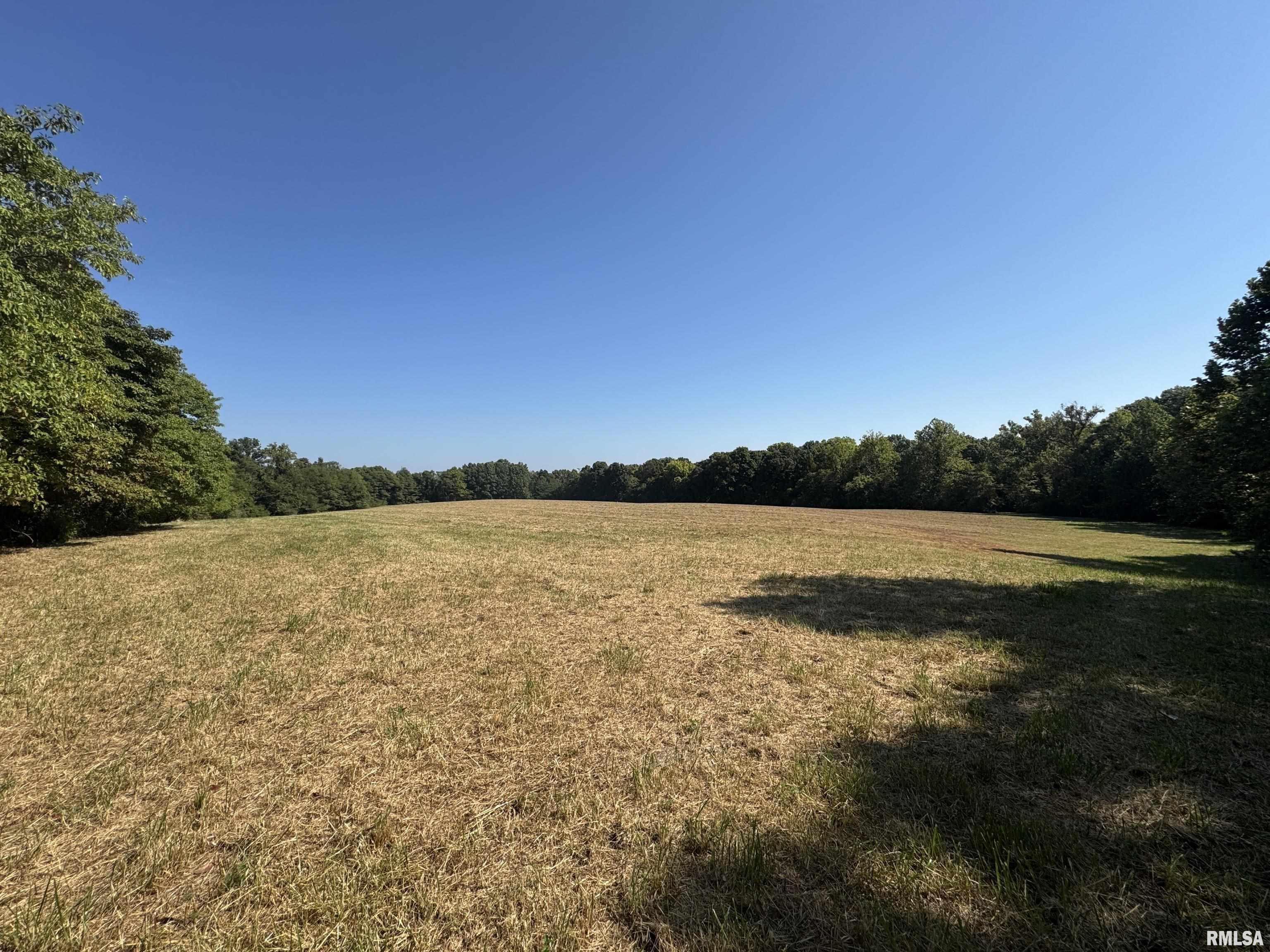 1640 Milligan Hill Road Alto Pass, IL 62905 - Photo 97 of 98