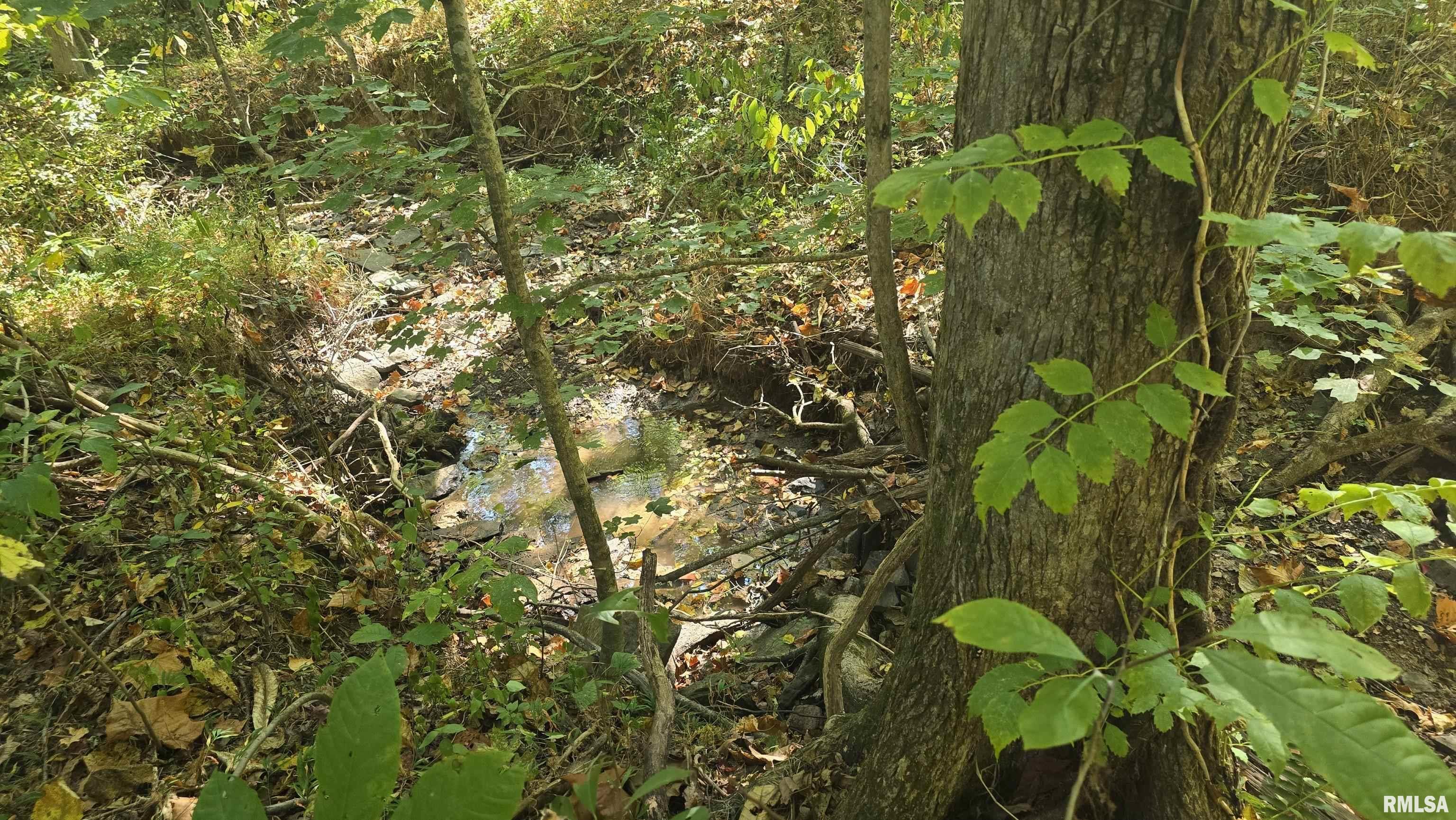 1640 Milligan Hill Road Alto Pass, IL 62905 - Photo 98 of 98