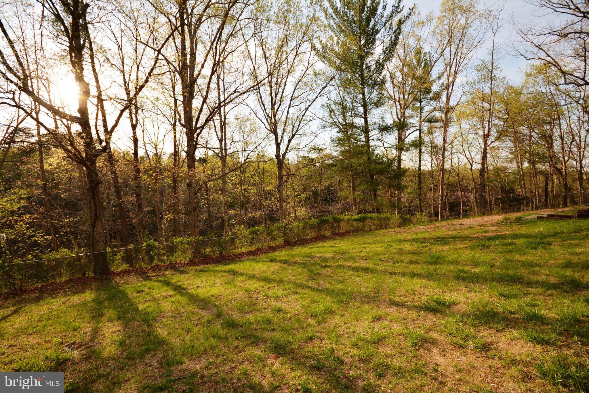 373 Laing Road Front Royal, VA 22630 - Photo 4 of 30 Exterior (Rear)