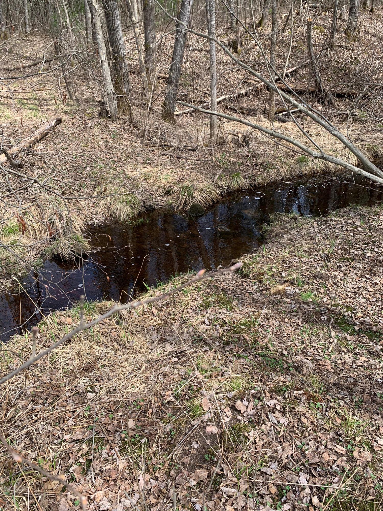 Off South Park Road, Unit 80 / A Butternut, WI 54514 - Photo 25 of 47 Gallery Image 25