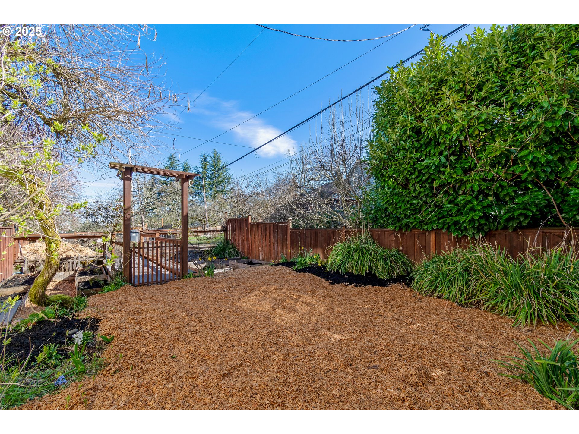 2033 East 19th Avenue Eugene, OR 97403 - Photo 39 of 45 a view of a backyard of a house