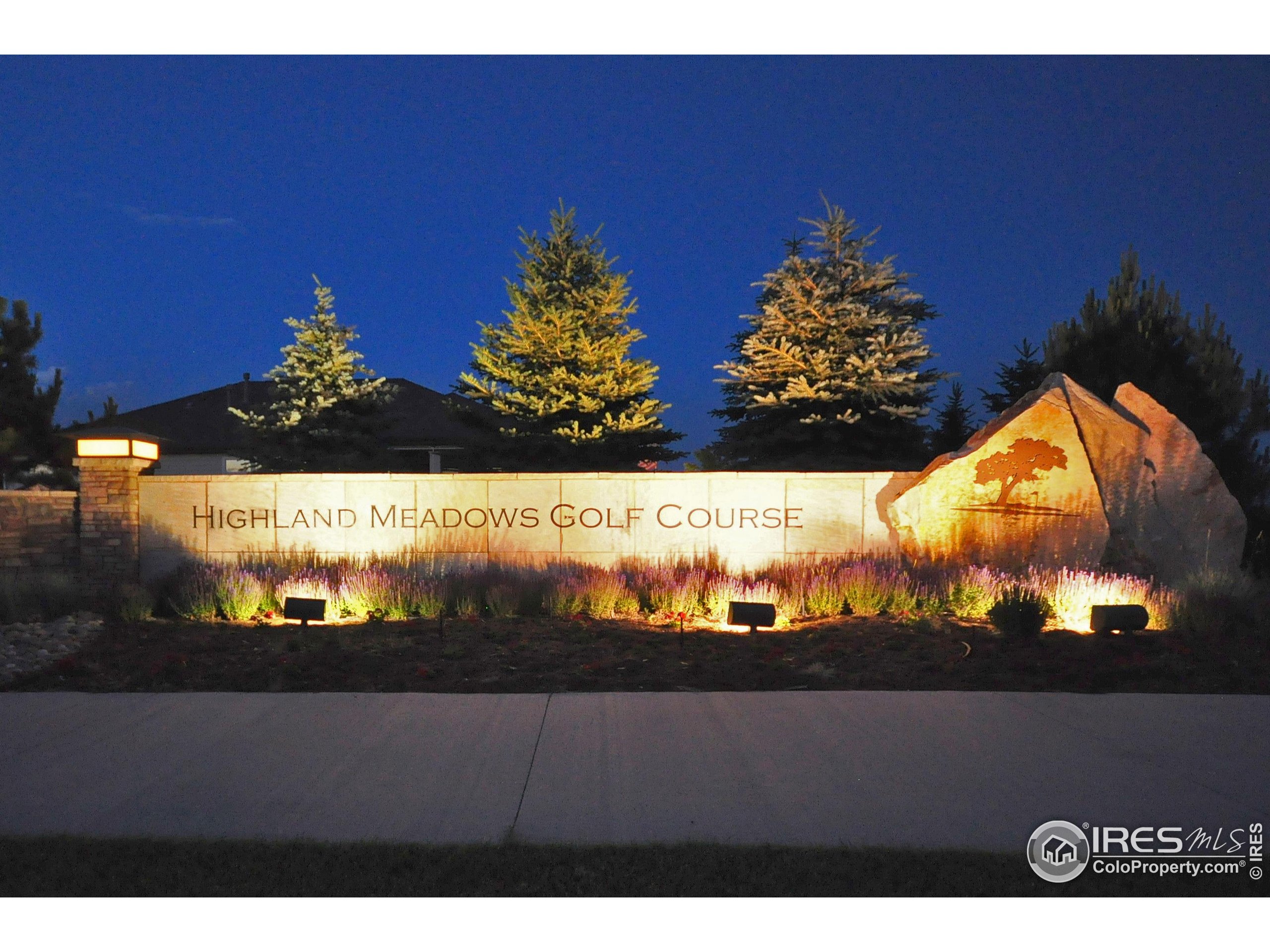 6245 Vernazza Way, Unit 3 Windsor, CO 80550 - Photo 45 of 50