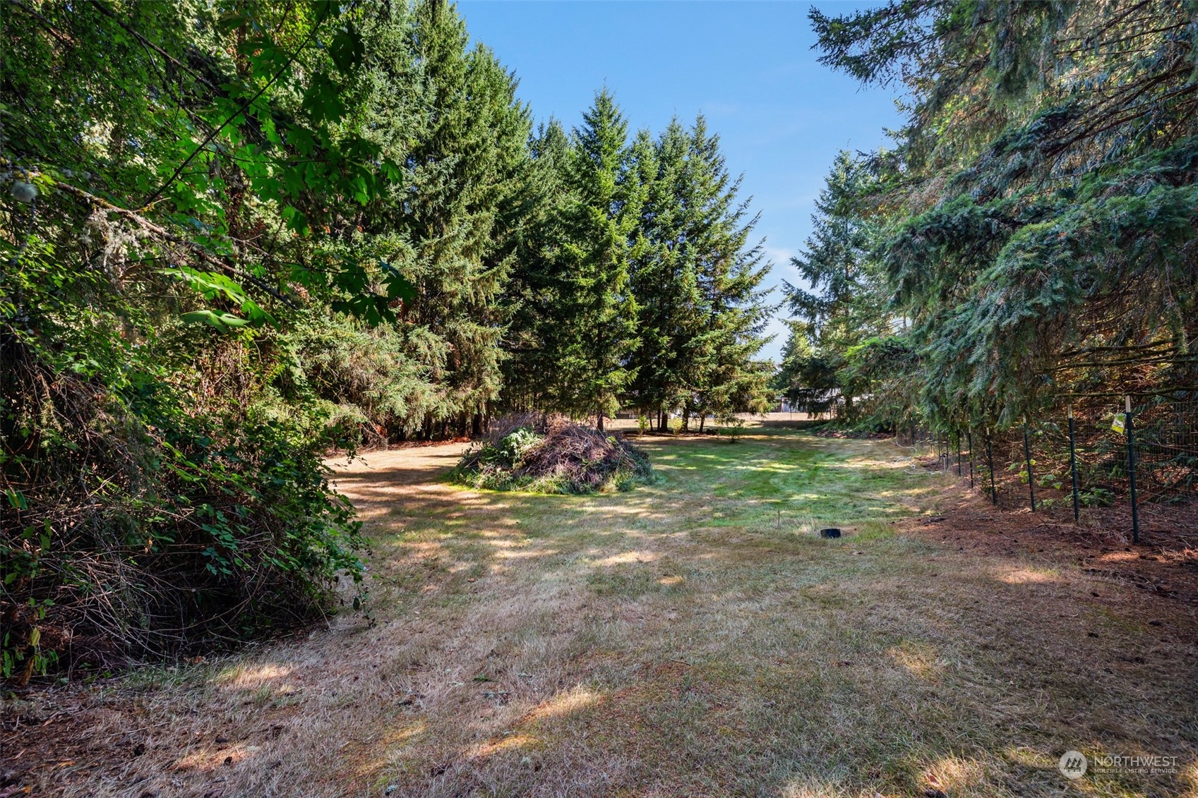 107 Peterson Road Chehalis, WA 98532 - Photo 11 of 35 a view of a tree in a yard