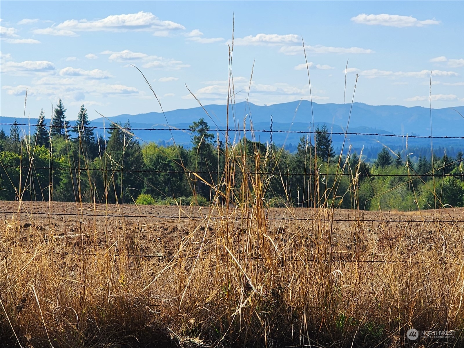 107 Peterson Road Chehalis, WA 98532 - Photo 35 of 35 a view of a backyard