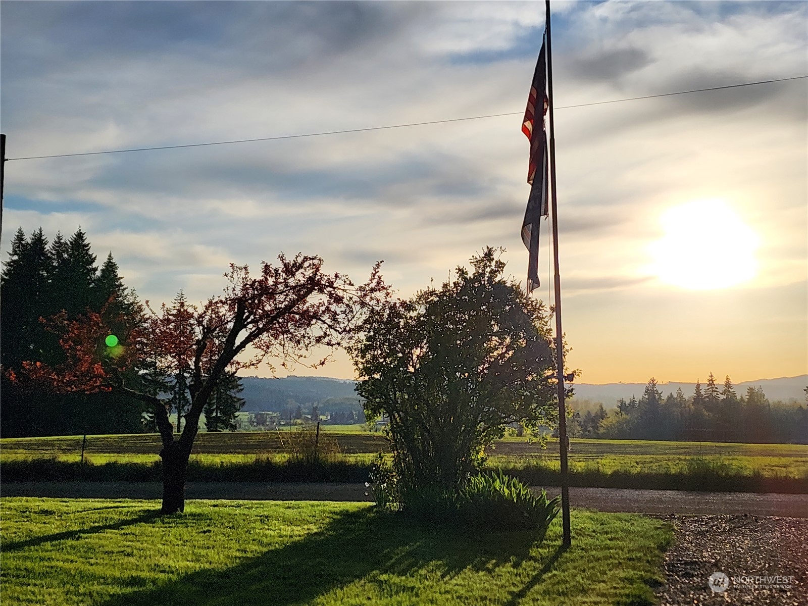 107 Peterson Road Chehalis, WA 98532 - Photo 5 of 35 a view of a garden with a tree in the background