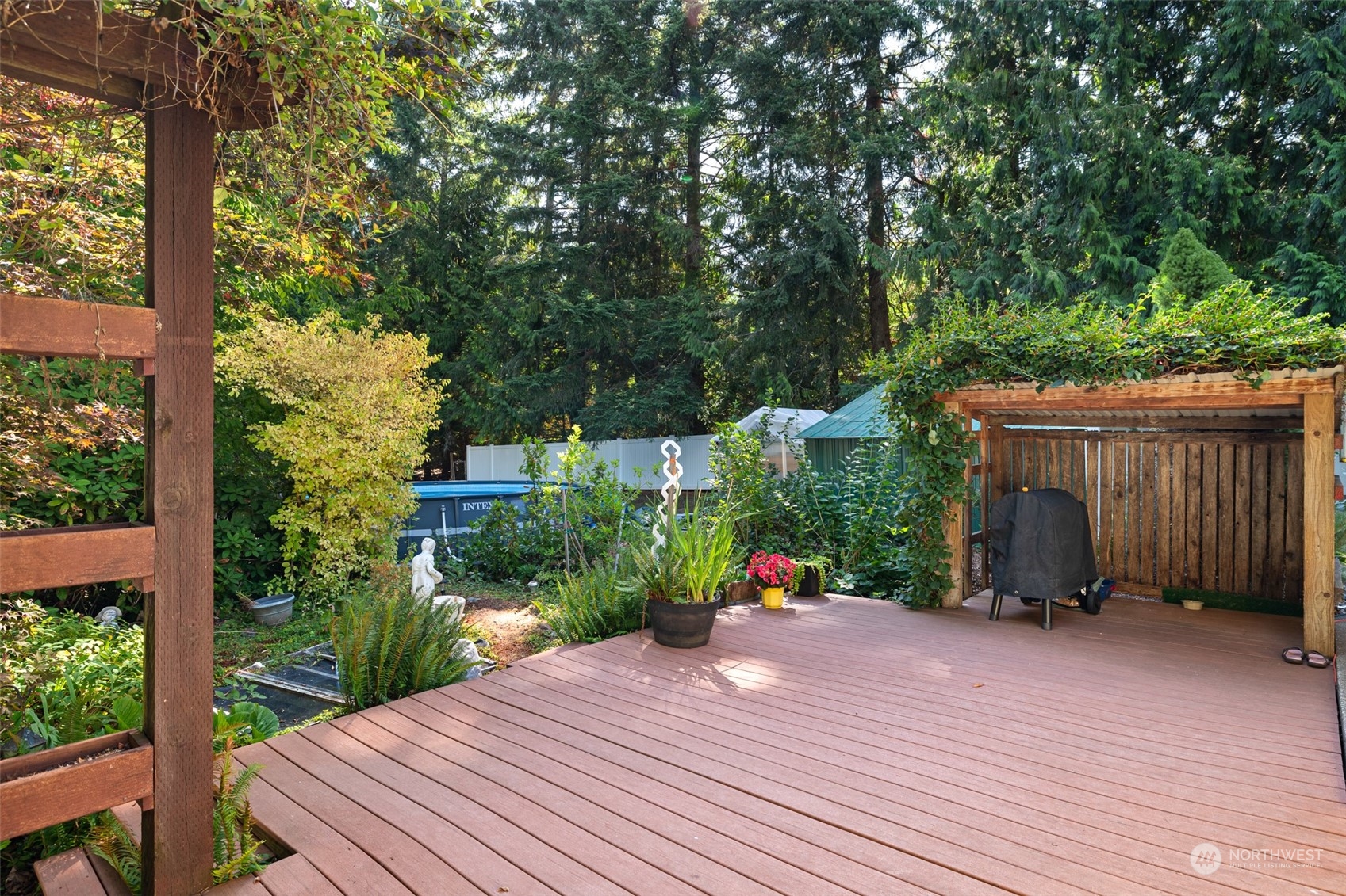 107 Peterson Road Chehalis, WA 98532 - Photo 8 of 35 a view of a backyard with plants and a large tree