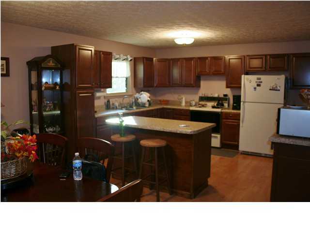 509 Canyon Road Jasper, TN 37347 - Photo 4 of 10 Additional Photo
