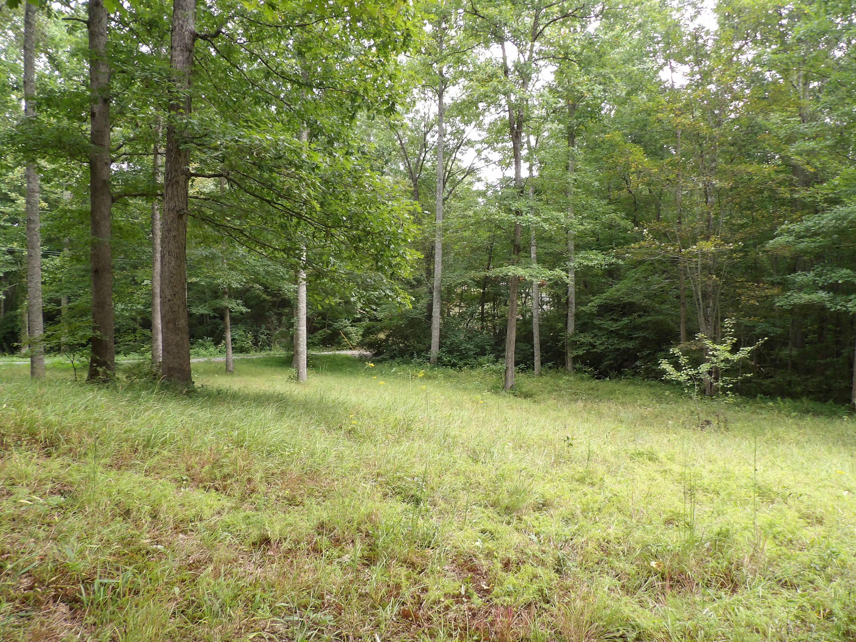 532 Black Mountain Road Dunlap, TN 37327 - Photo 1 of 78 100_4692