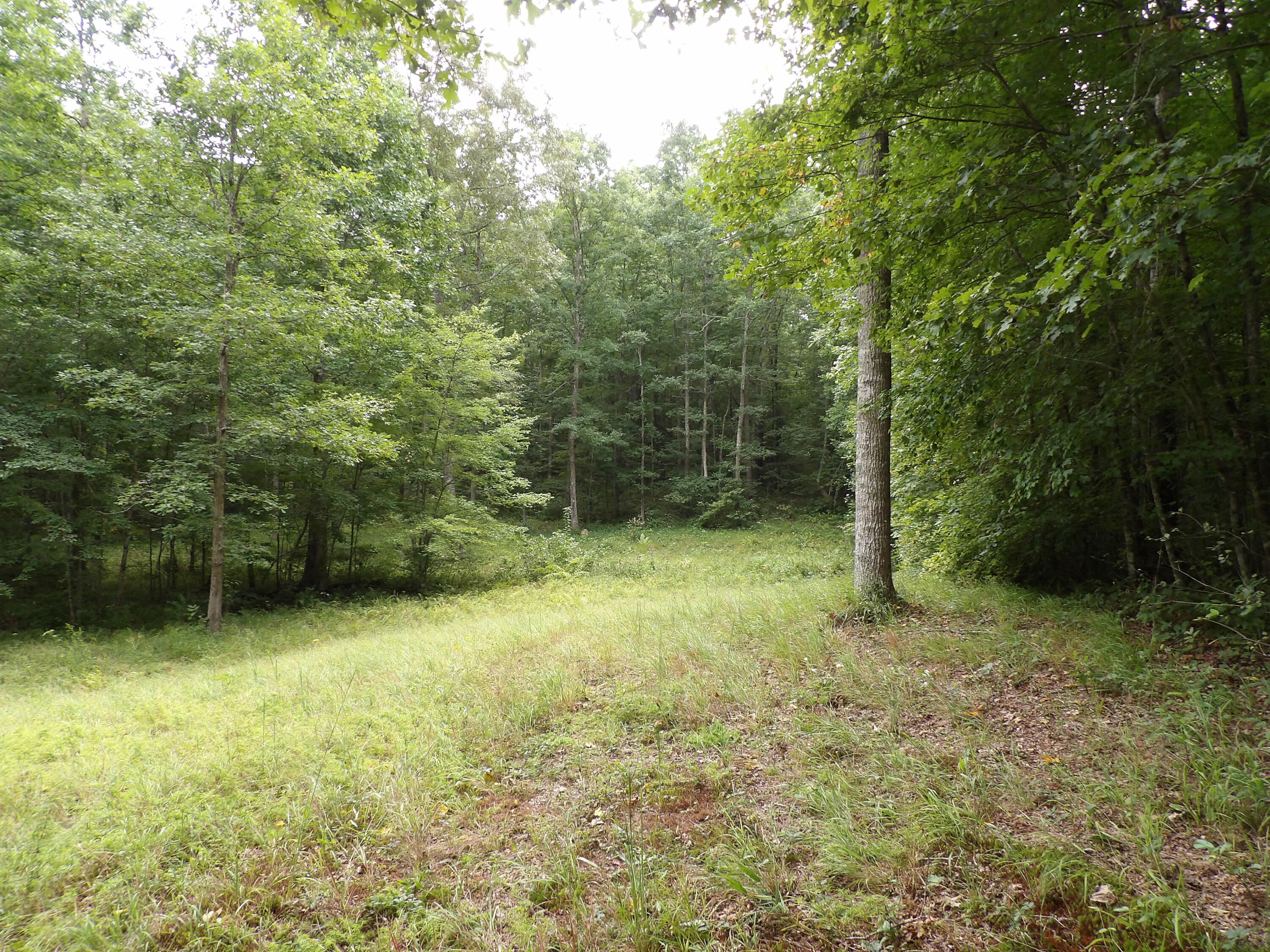 532 Black Mountain Road Dunlap, TN 37327 - Photo 2 of 78 100_4691