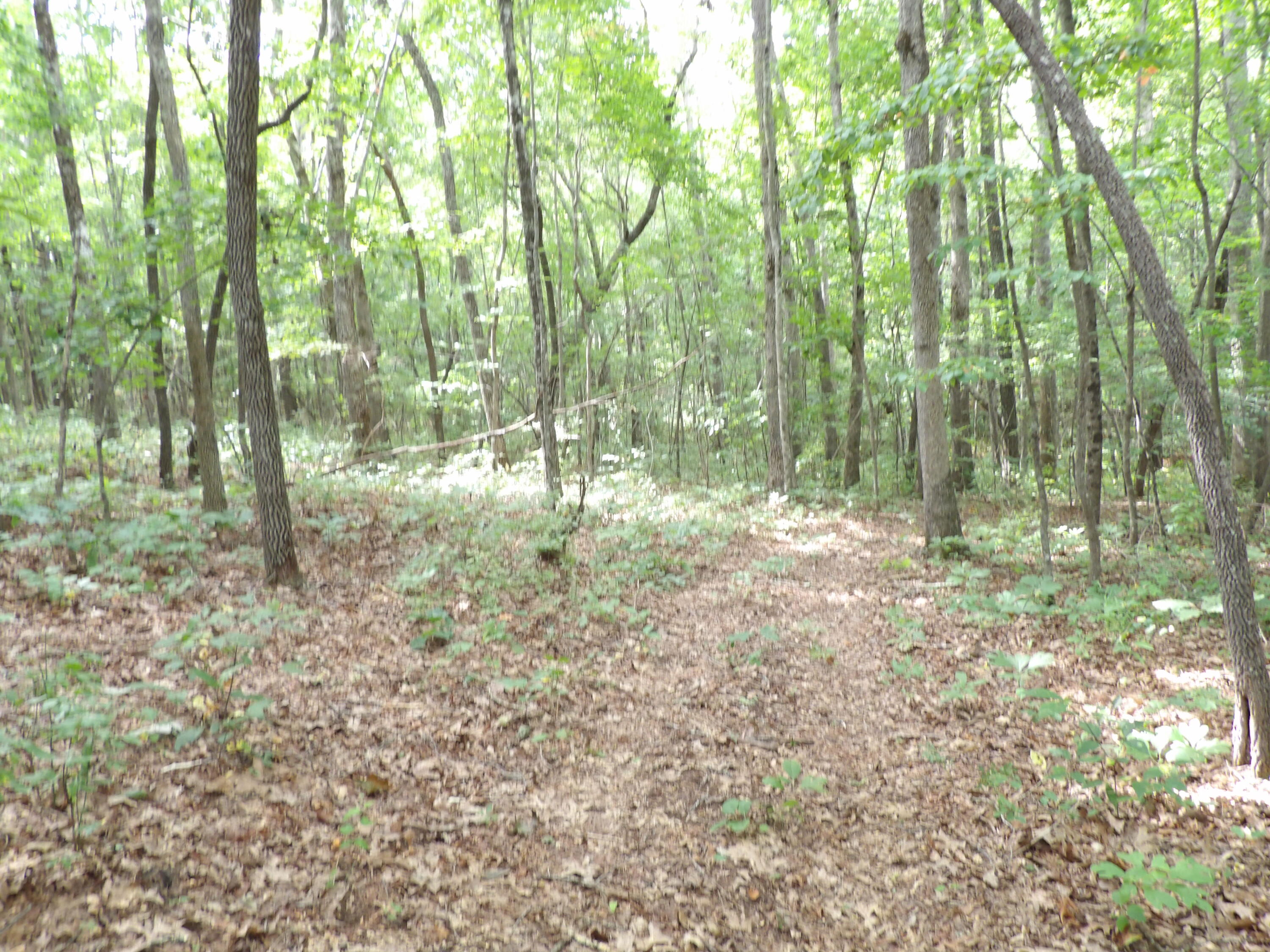 532 Black Mountain Road Dunlap, TN 37327 - Photo 42 of 78 100_4734