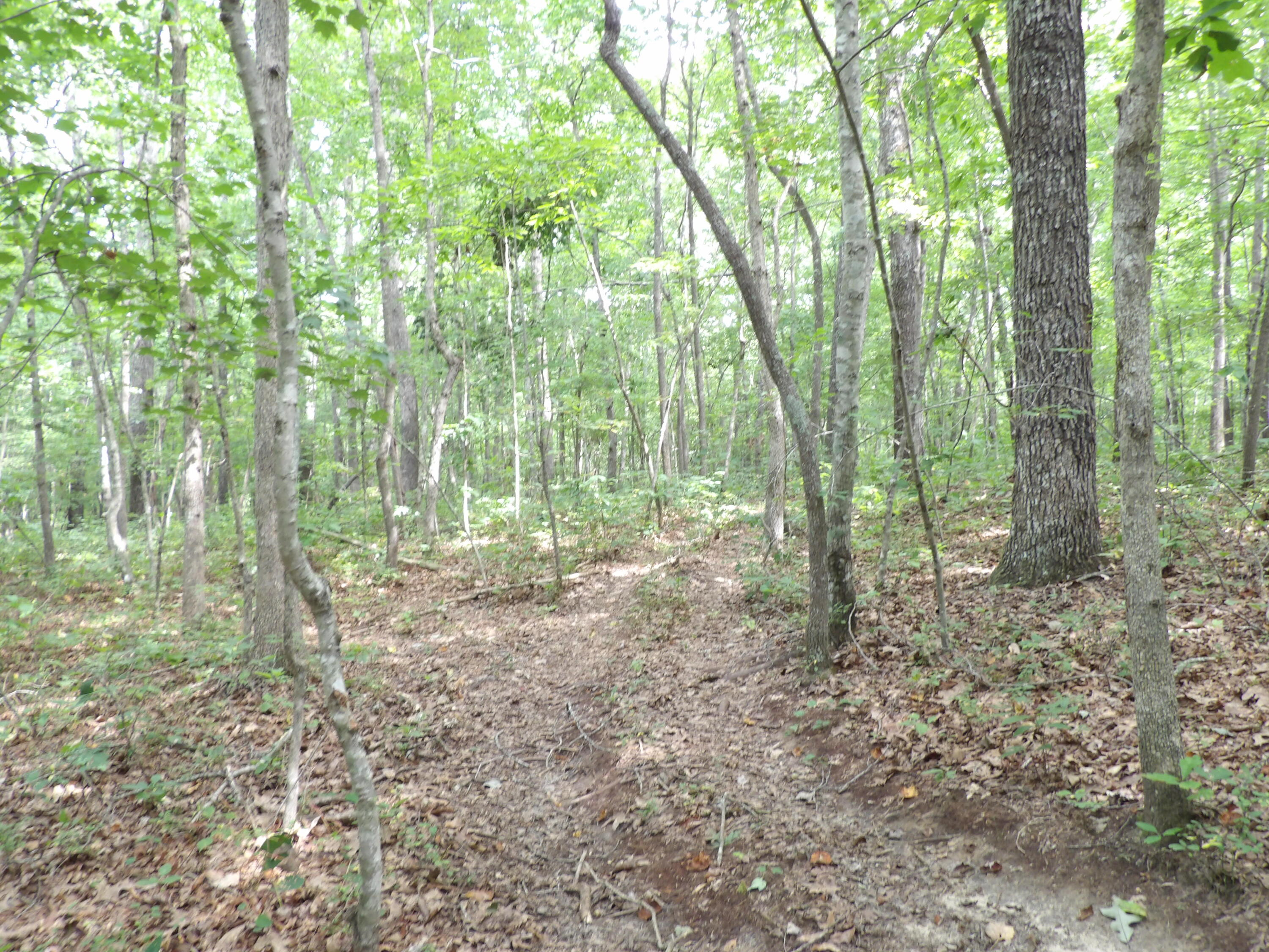532 Black Mountain Road Dunlap, TN 37327 - Photo 44 of 78 100_4736