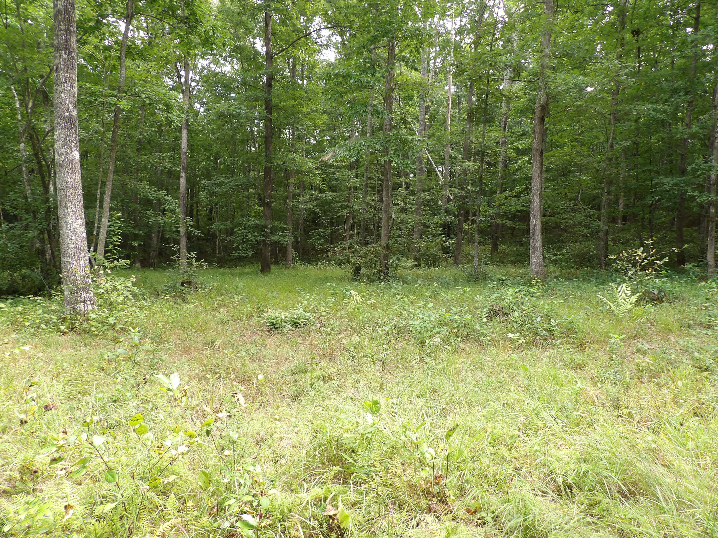532 Black Mountain Road Dunlap, TN 37327 - Photo 7 of 78 100_4695