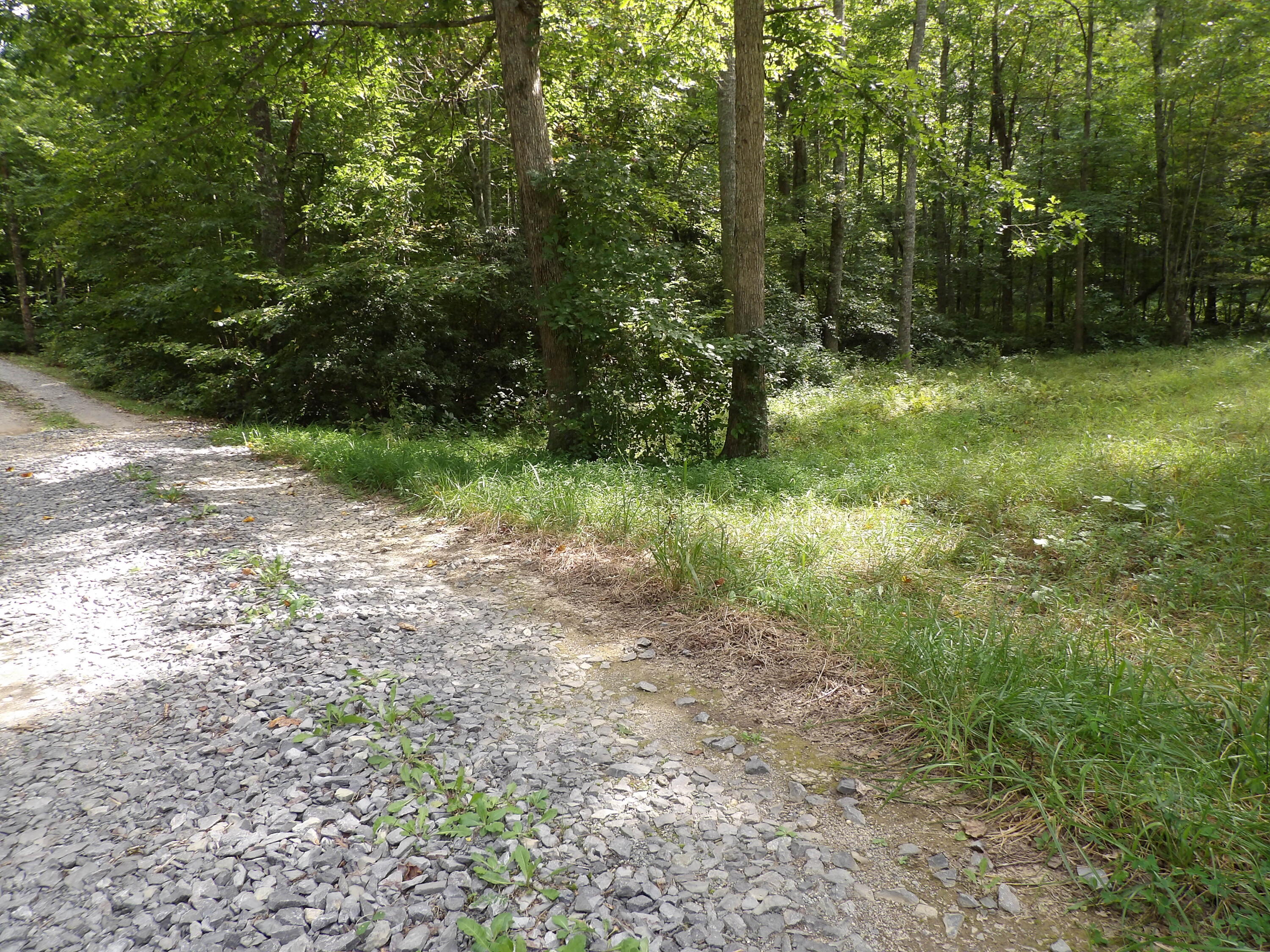 532 Black Mountain Road Dunlap, TN 37327 - Photo 76 of 78 100_4775