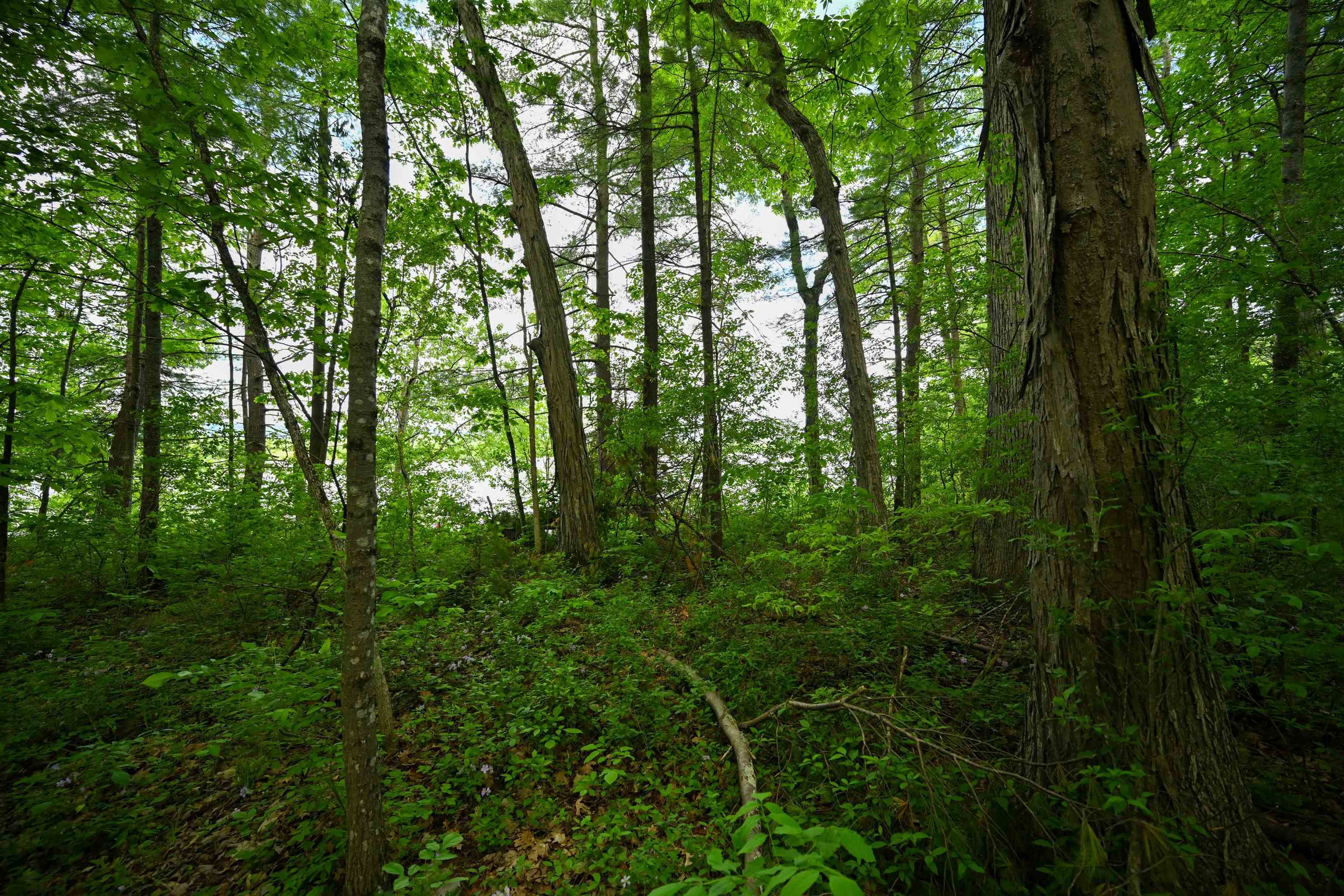 185 Holmes Lane Shoreham, VT 05770 - Photo 22 of 25
