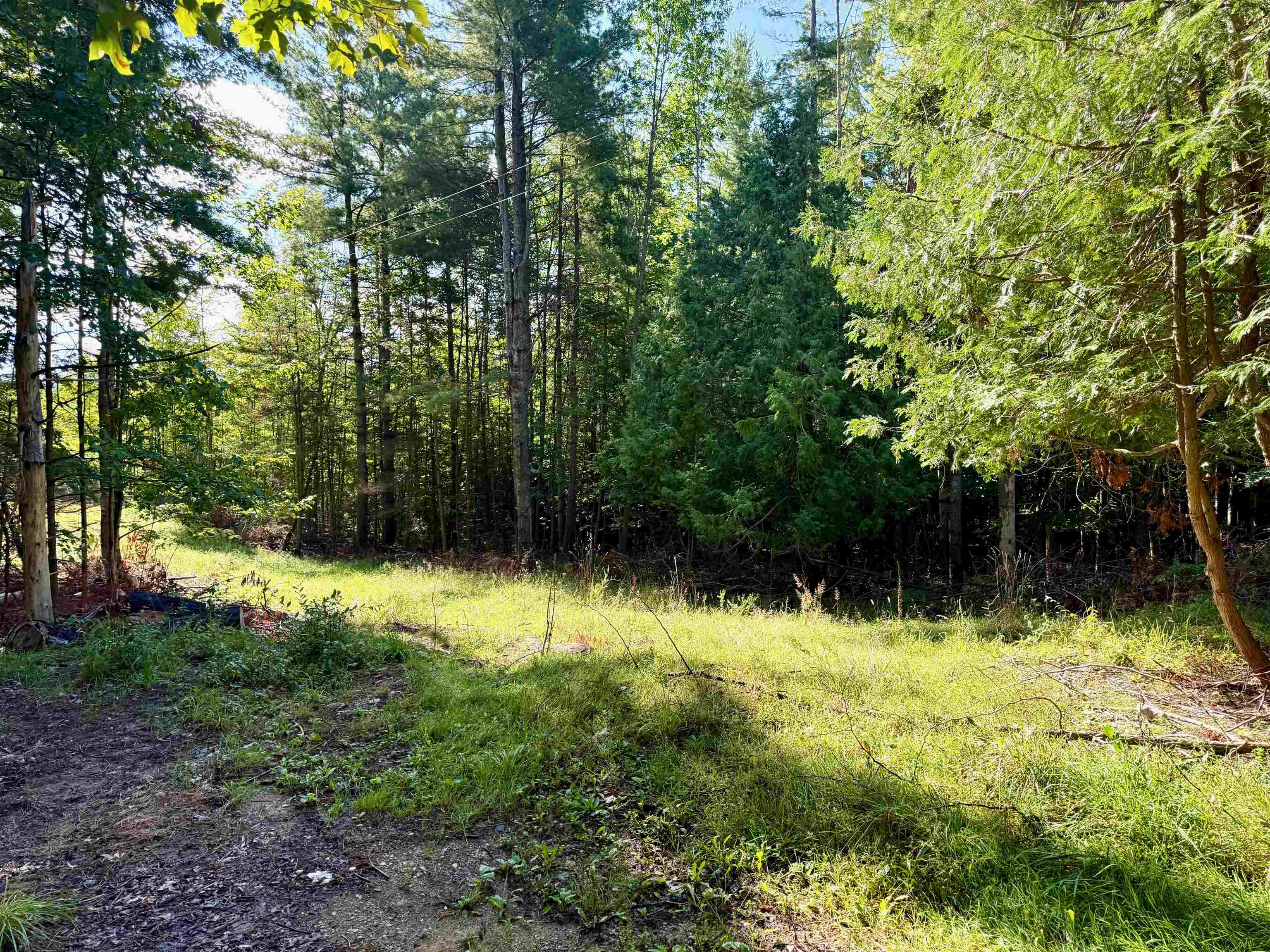 161 West Nachazel Road Maple City, MI 49664 - Photo 15 of 18
