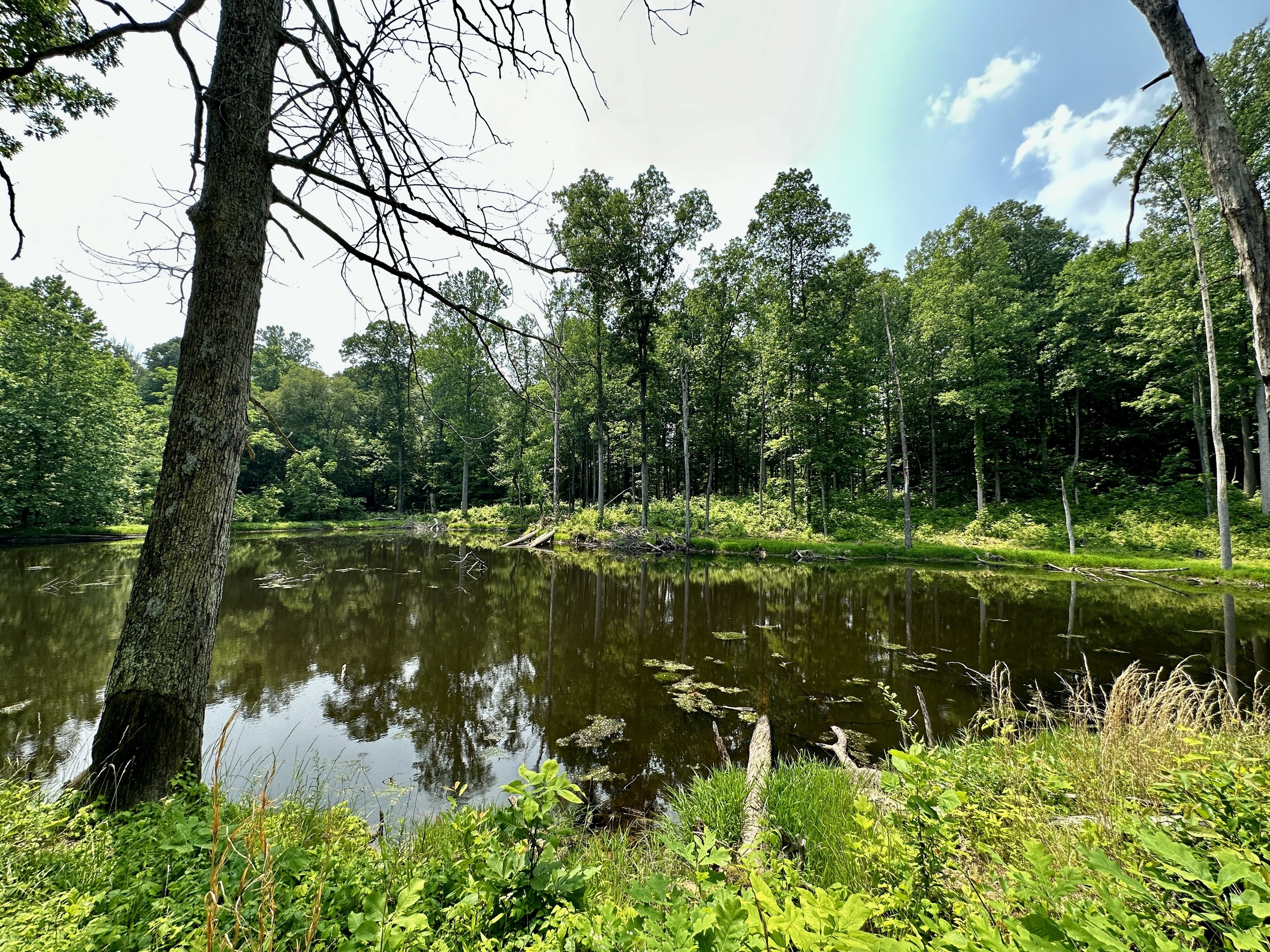 2804 South Vickrey Road Gosport, IN 47433 - Photo 3 of 59