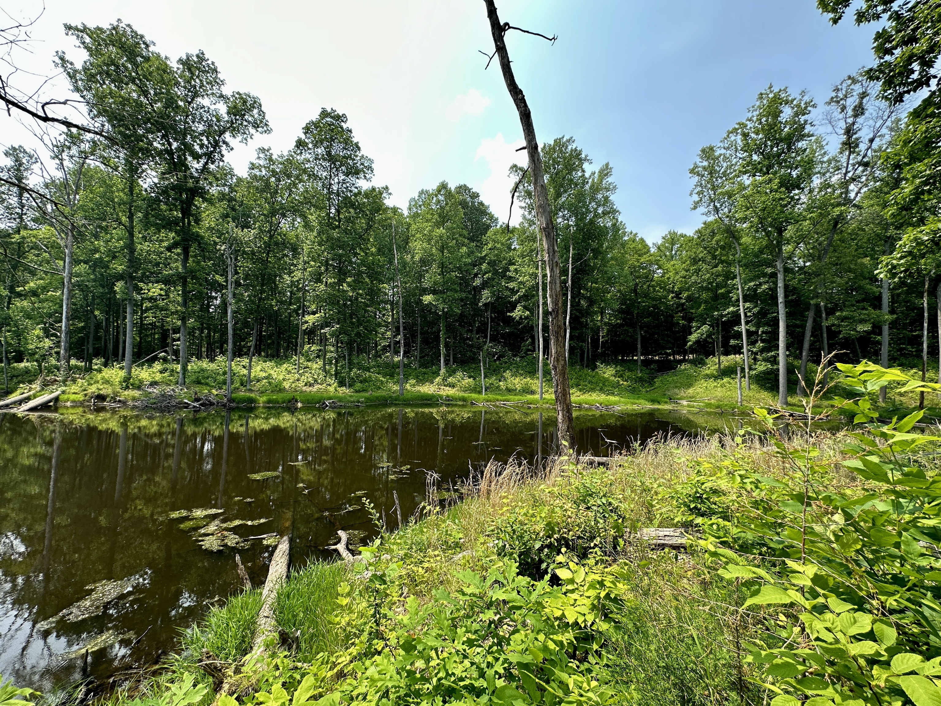 2804 South Vickrey Road Gosport, IN 47433 - Photo 4 of 59