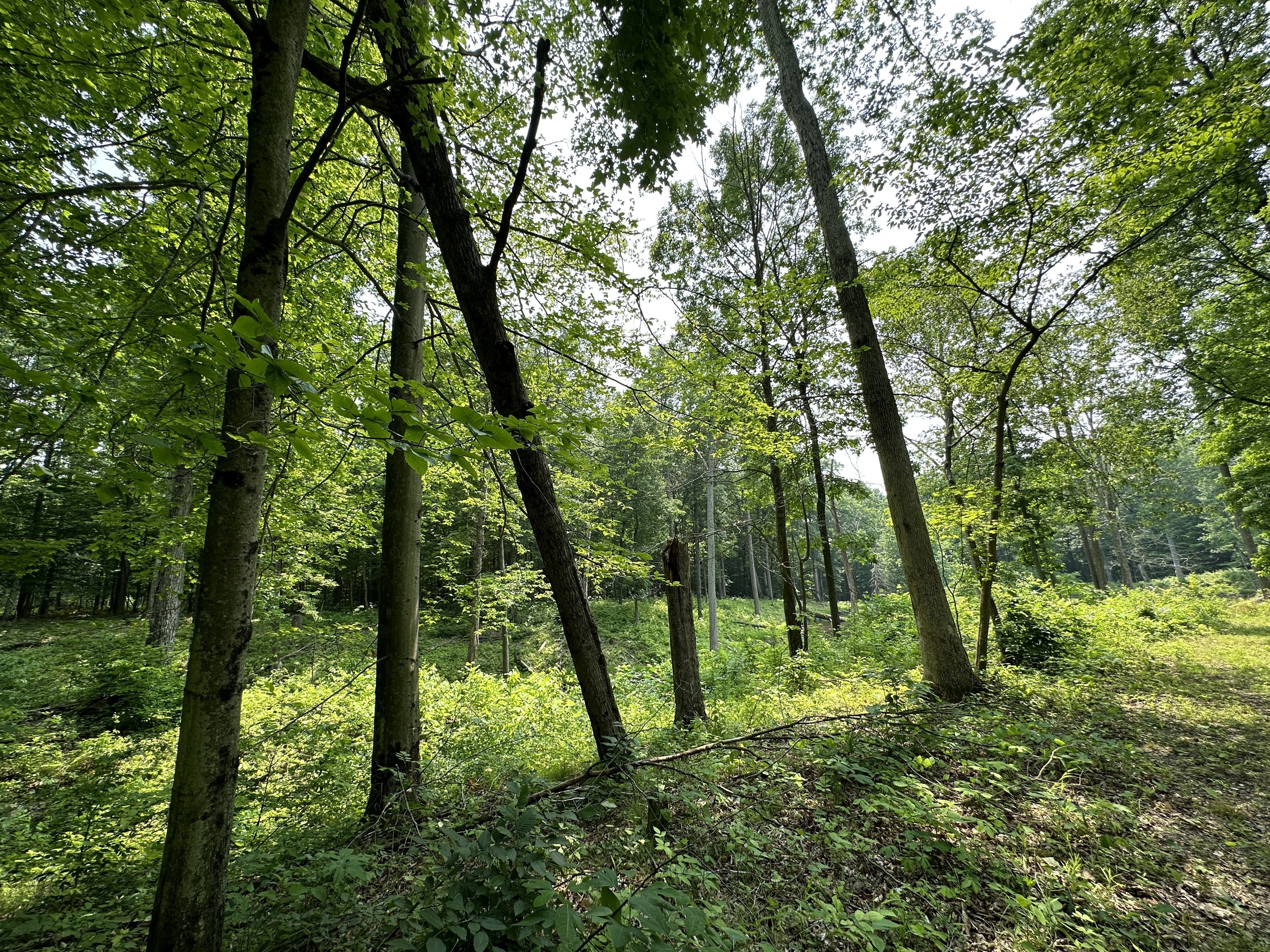 2804 South Vickrey Road Gosport, IN 47433 - Photo 43 of 59