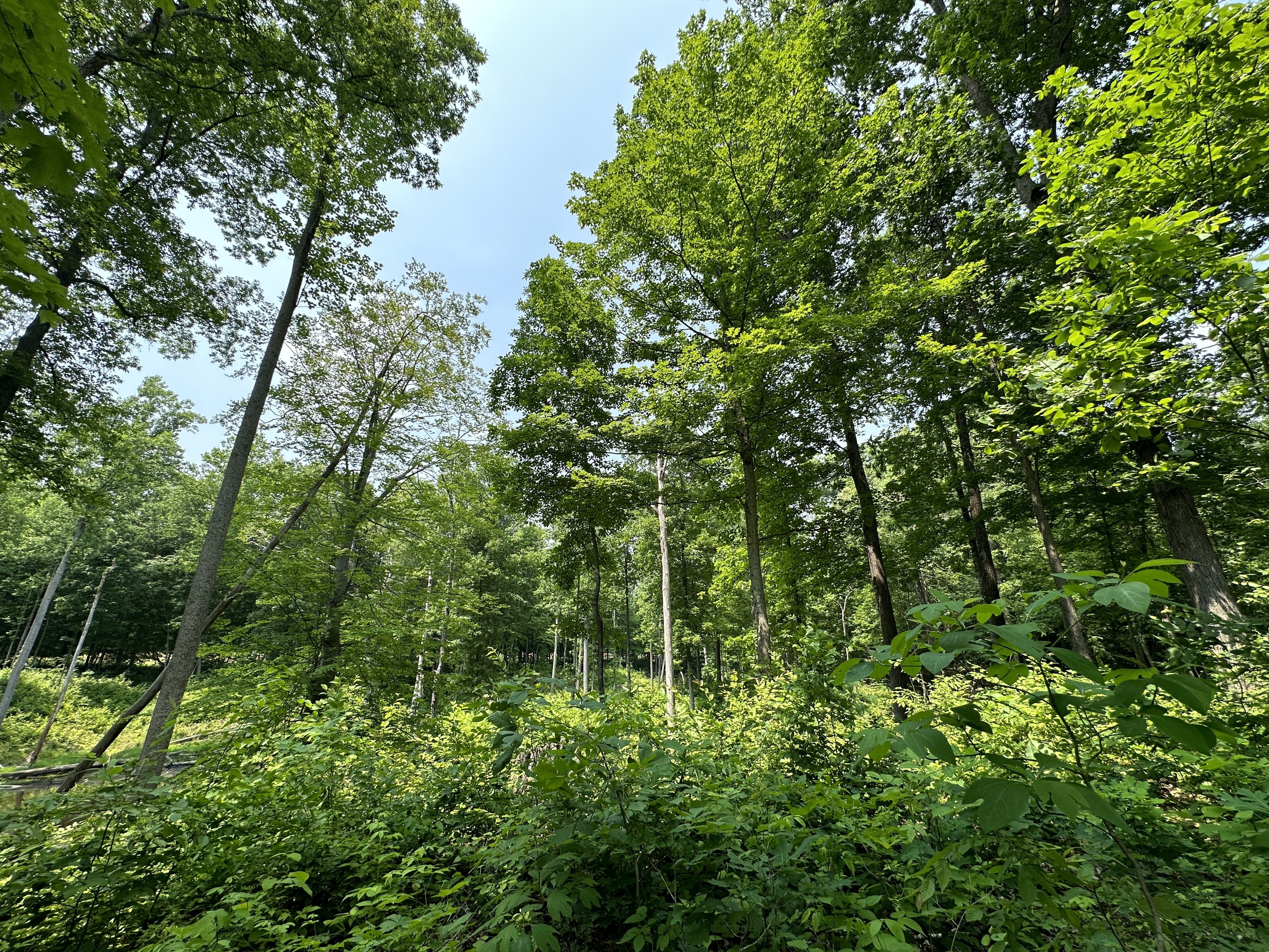 2804 South Vickrey Road Gosport, IN 47433 - Photo 44 of 59