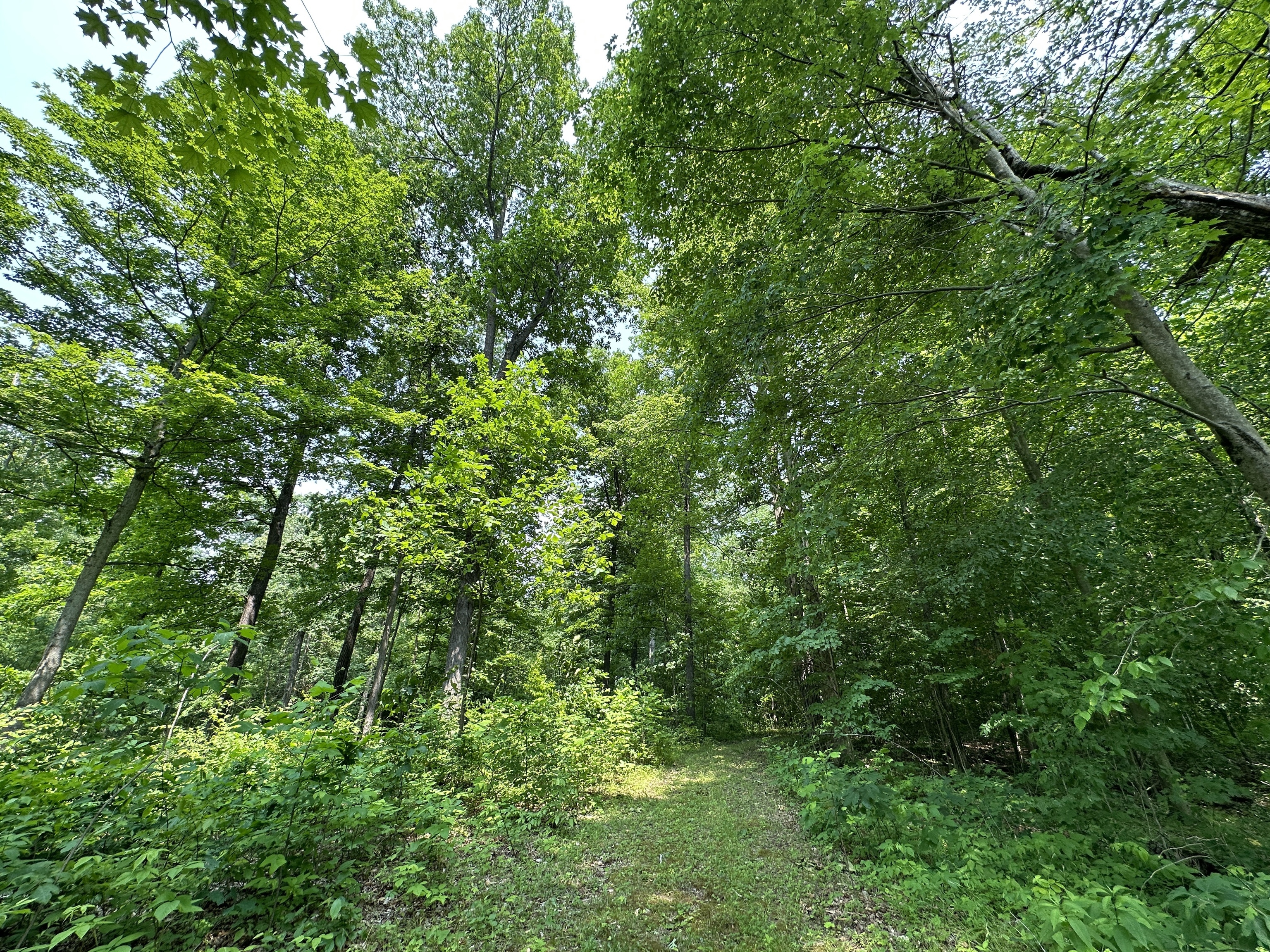 2804 South Vickrey Road Gosport, IN 47433 - Photo 45 of 59