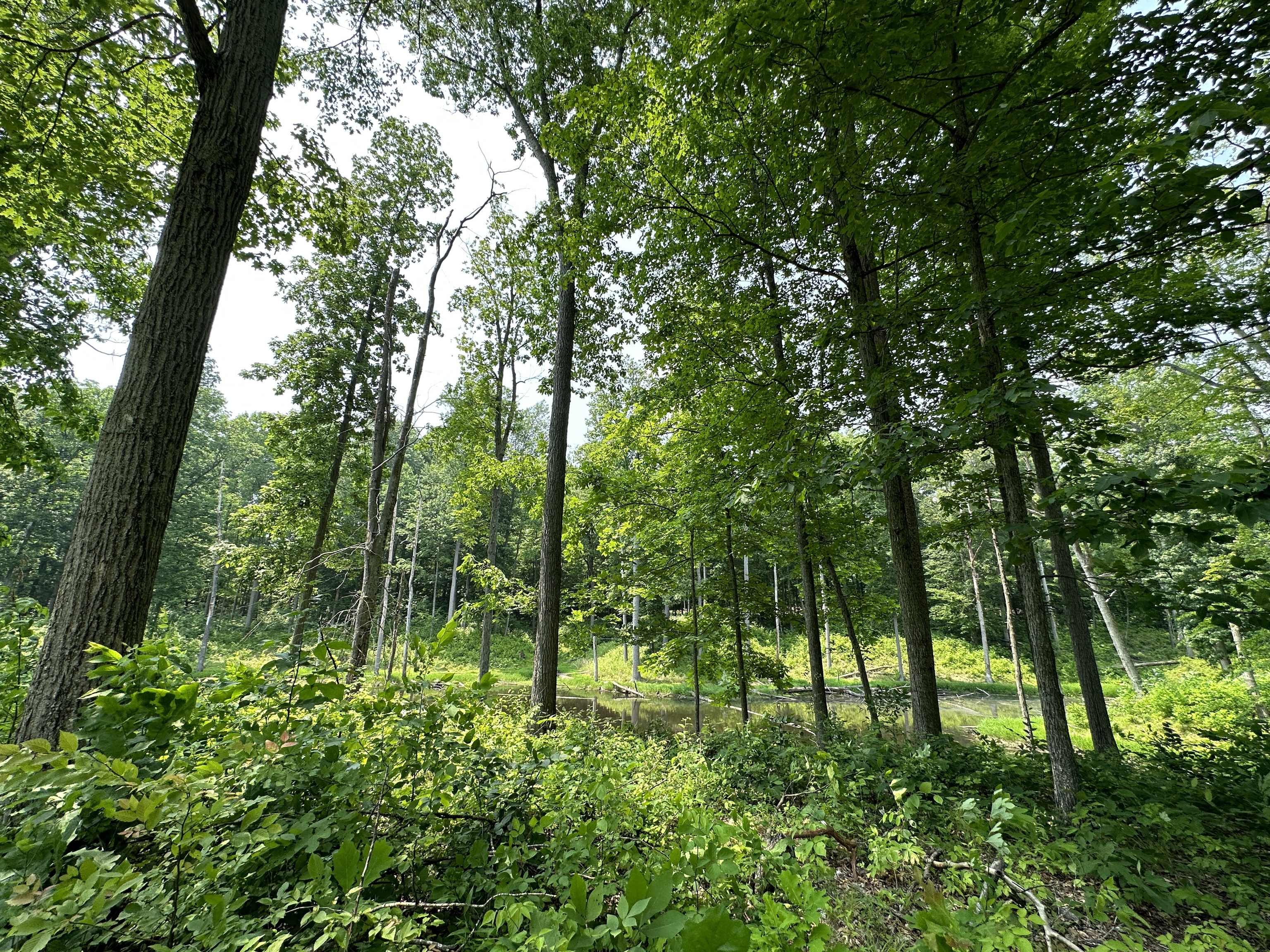 2804 South Vickrey Road Gosport, IN 47433 - Photo 46 of 59