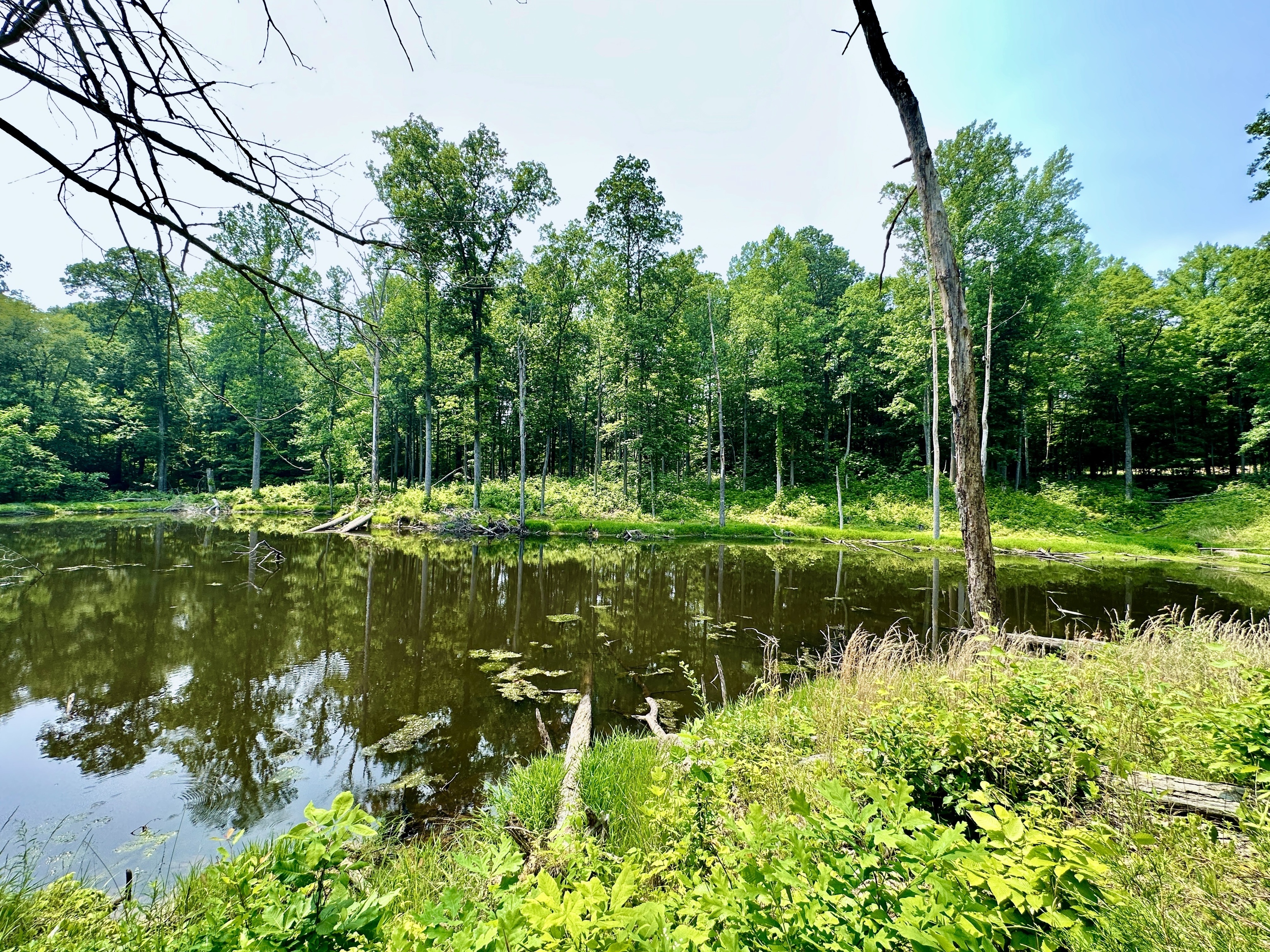 2804 South Vickrey Road Gosport, IN 47433 - Photo 47 of 59