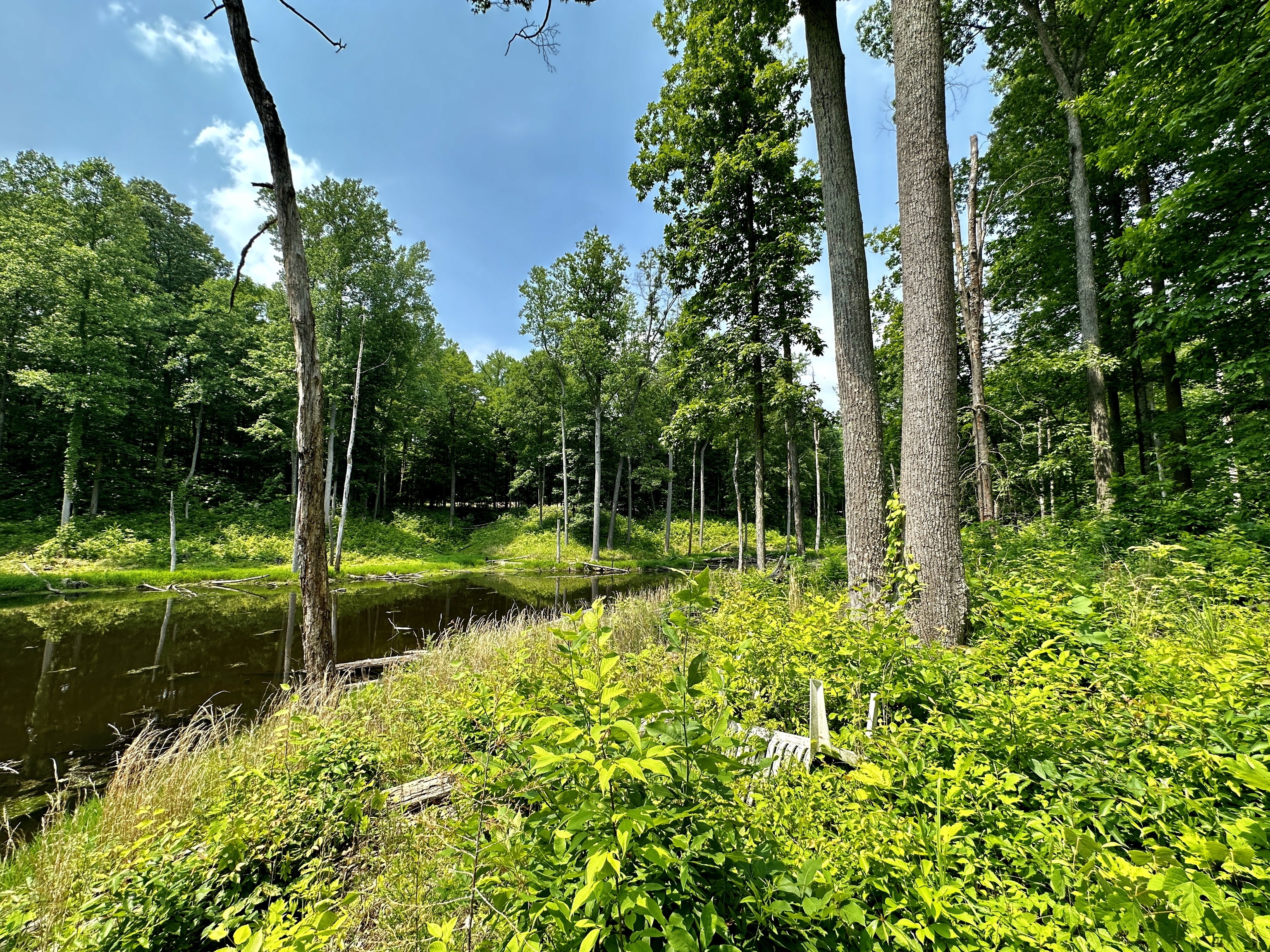 2804 South Vickrey Road Gosport, IN 47433 - Photo 48 of 59