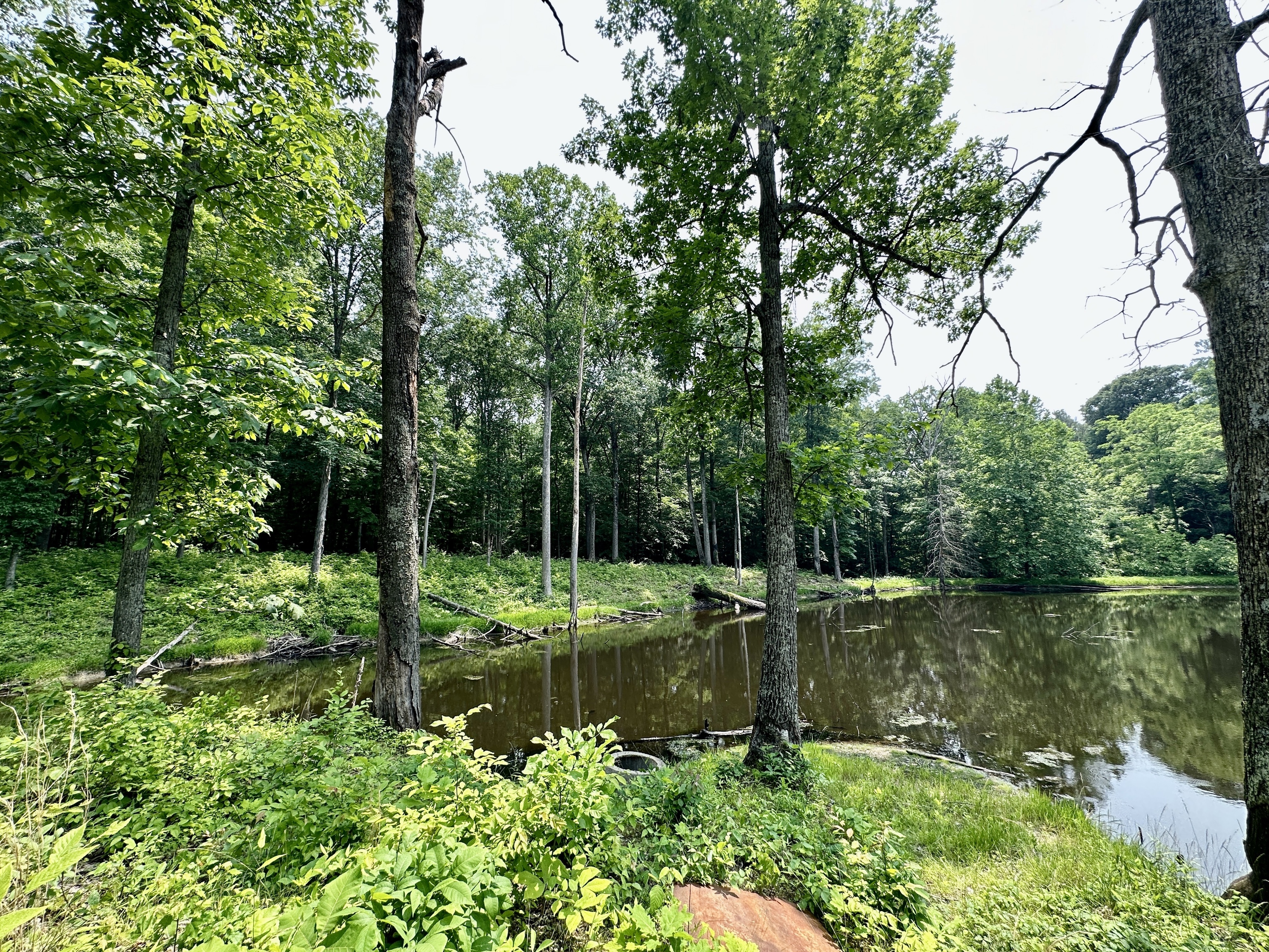 2804 South Vickrey Road Gosport, IN 47433 - Photo 49 of 59