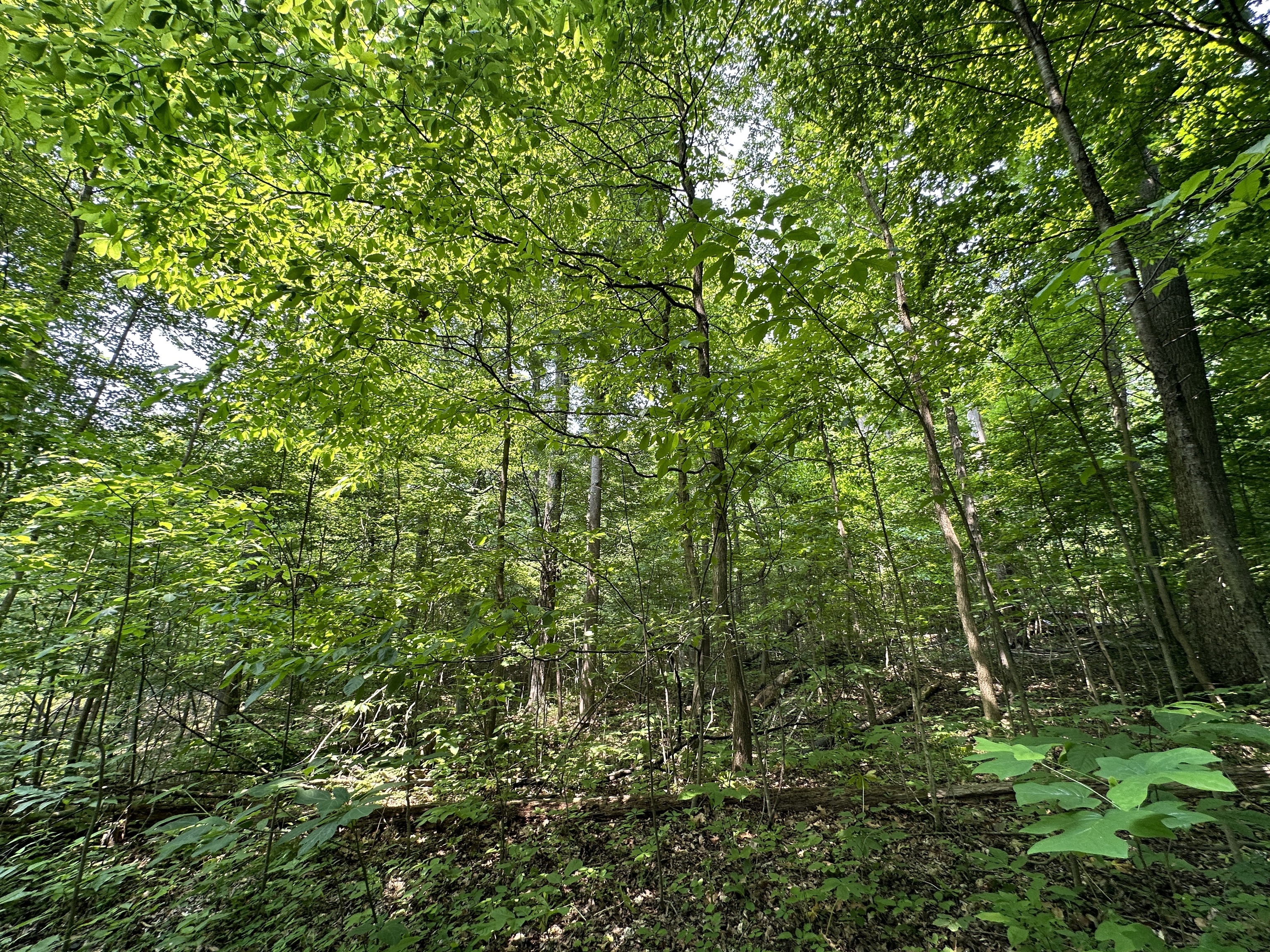 2804 South Vickrey Road Gosport, IN 47433 - Photo 5 of 59