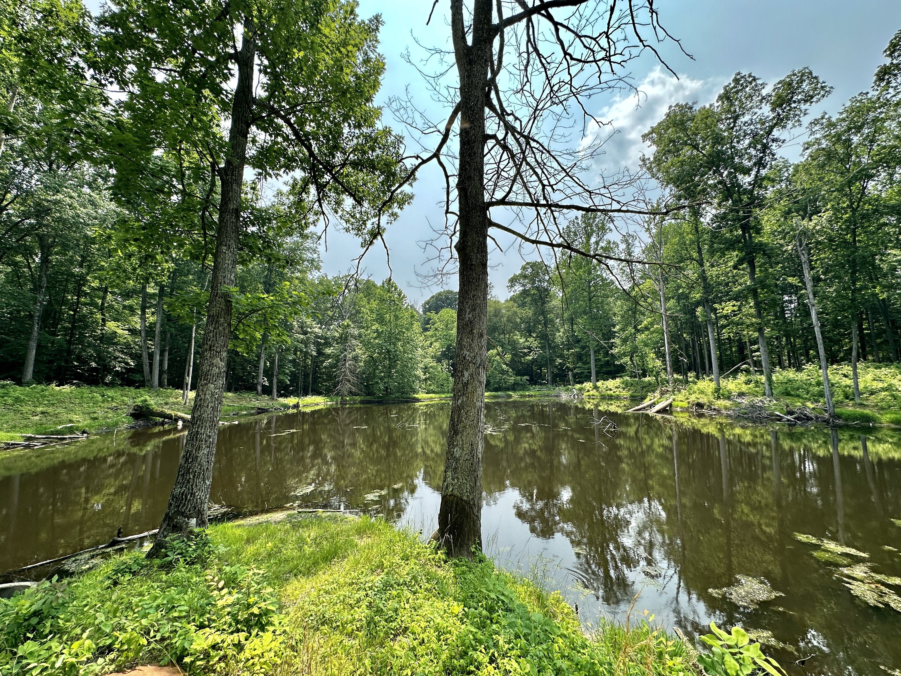 2804 South Vickrey Road Gosport, IN 47433 - Photo 57 of 59