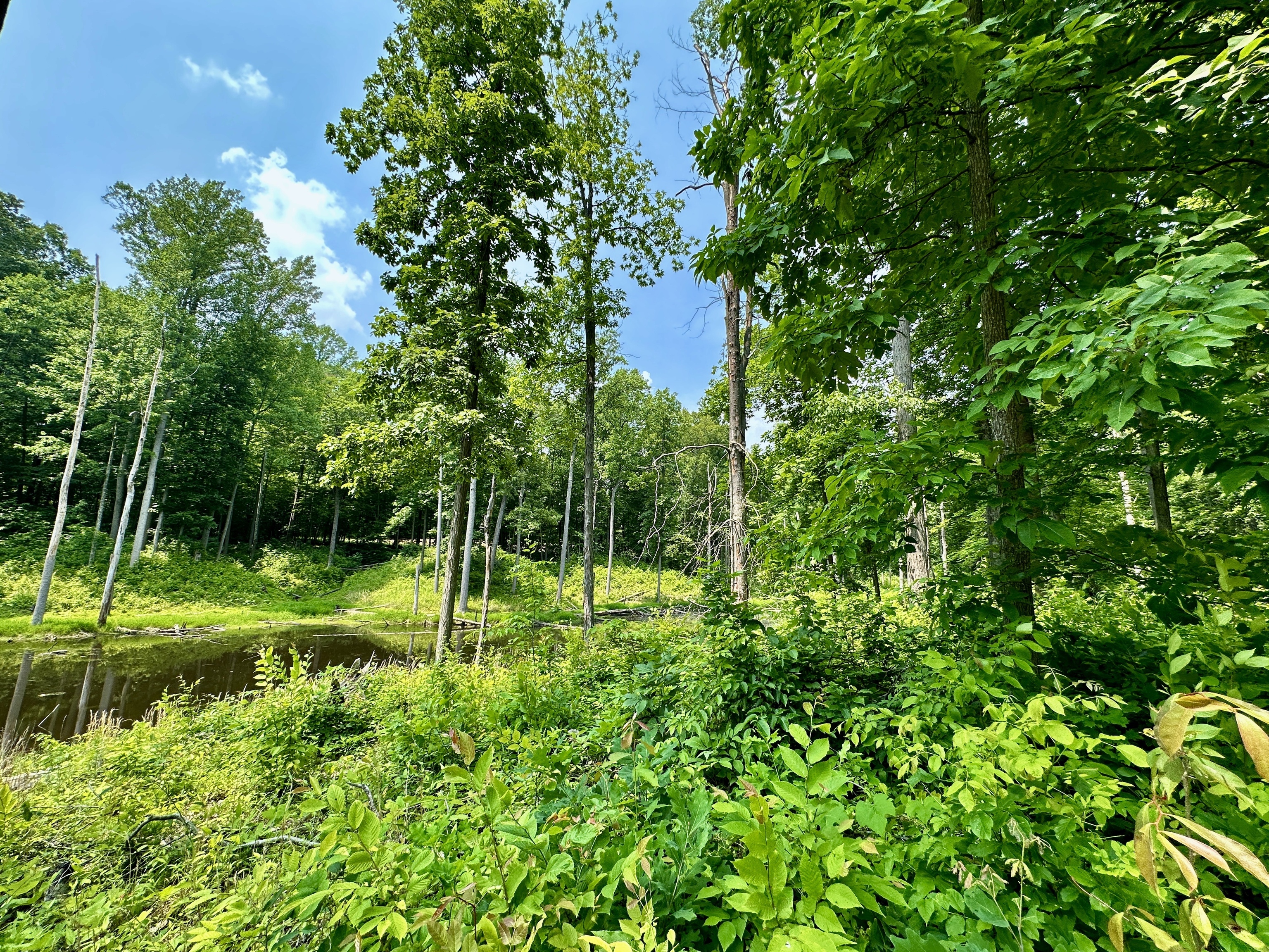 2804 South Vickrey Road Gosport, IN 47433 - Photo 58 of 59