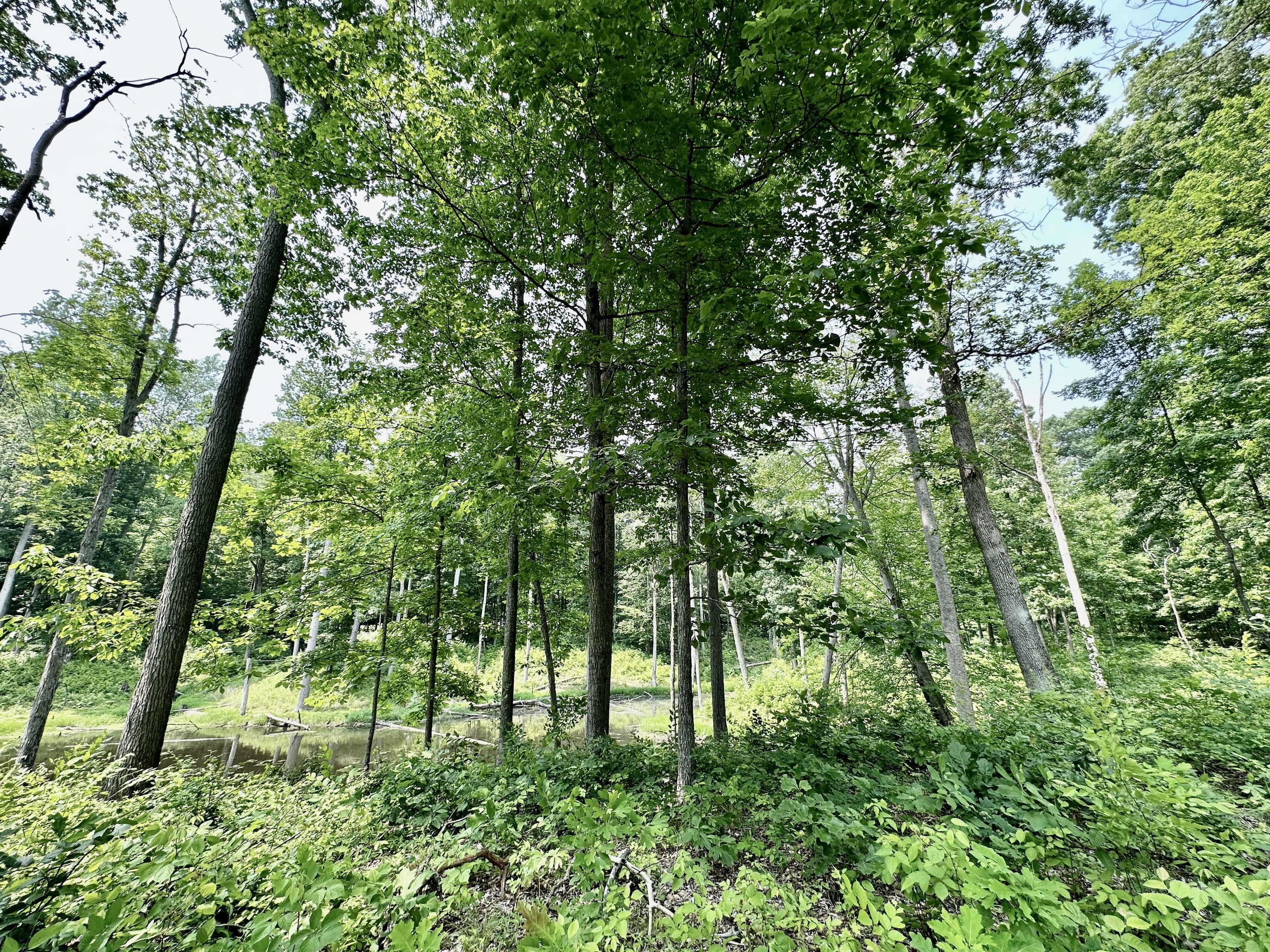 2804 South Vickrey Road Gosport, IN 47433 - Photo 59 of 59